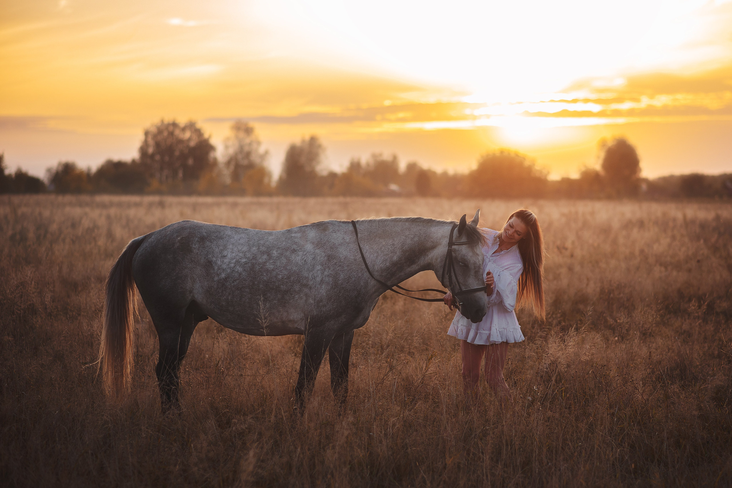 Юля и Дакар — 12.09.2024. Фотограф — Анималист | Анна Абрамова