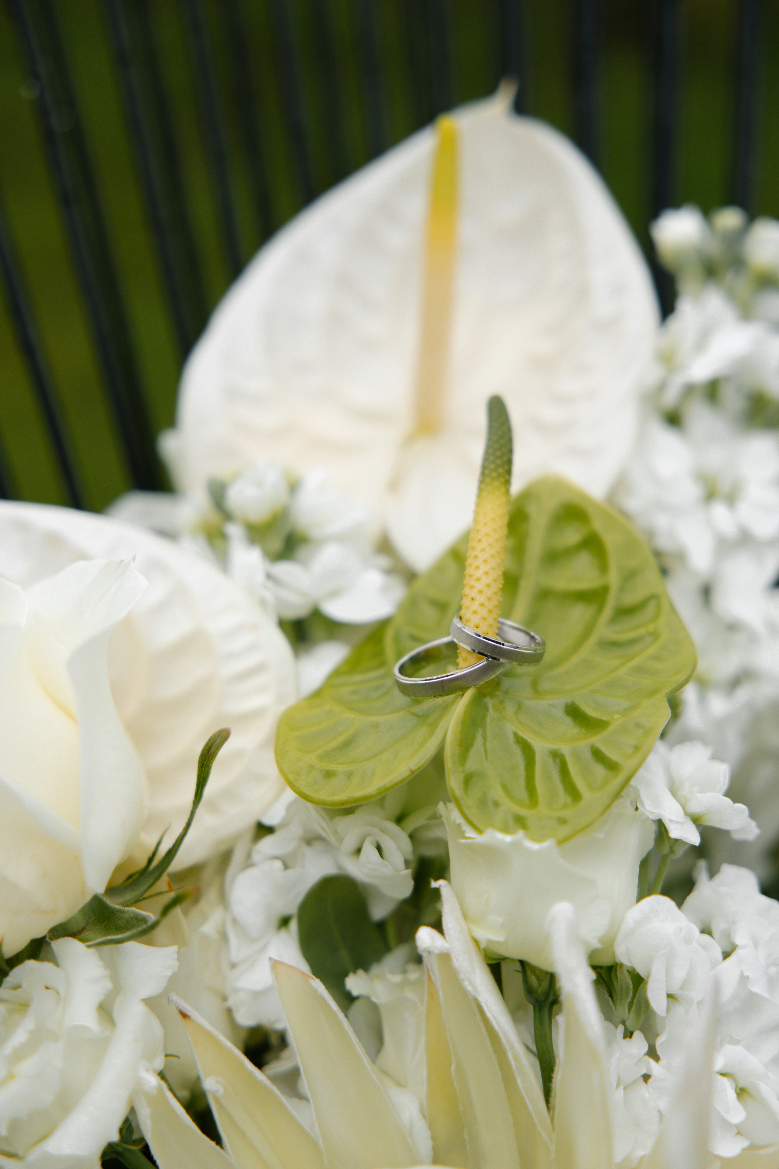 Все начинается с любви. Свадебный фотограф в Калининграде Ольга Пасечник