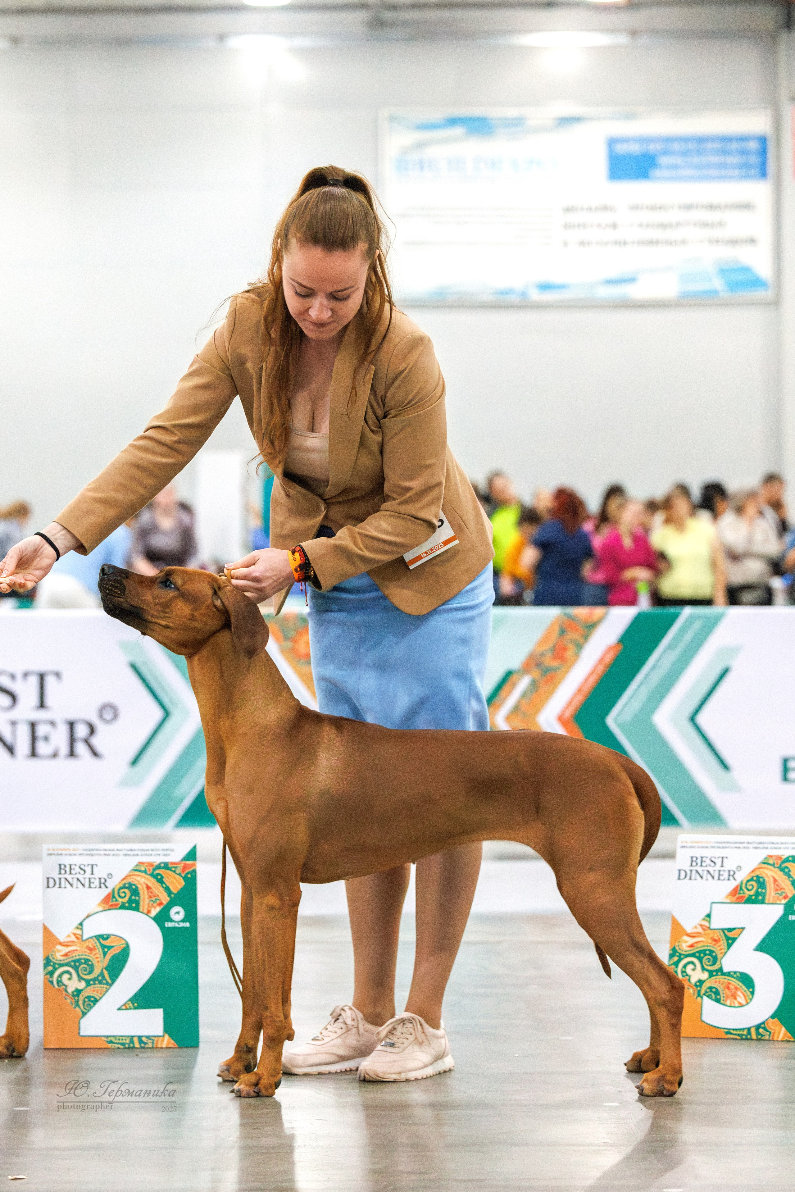 Евразия 15-16.11.2025. Фотограф-анималист Юлия Германика