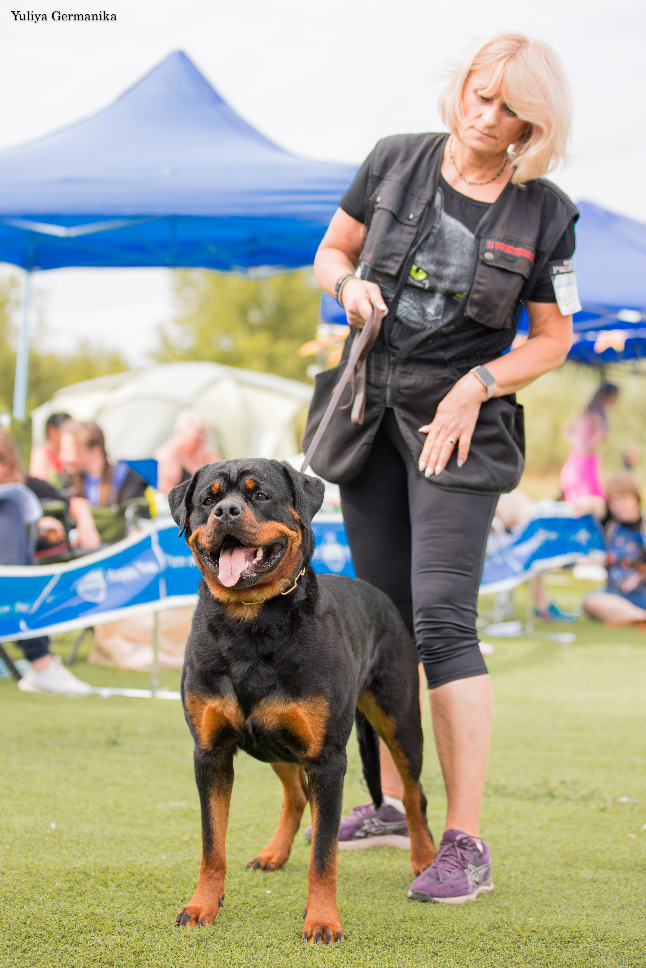 Анапа 16-17.09.2023 моно ротвейлеров. Фотограф-анималист Юлия Германика