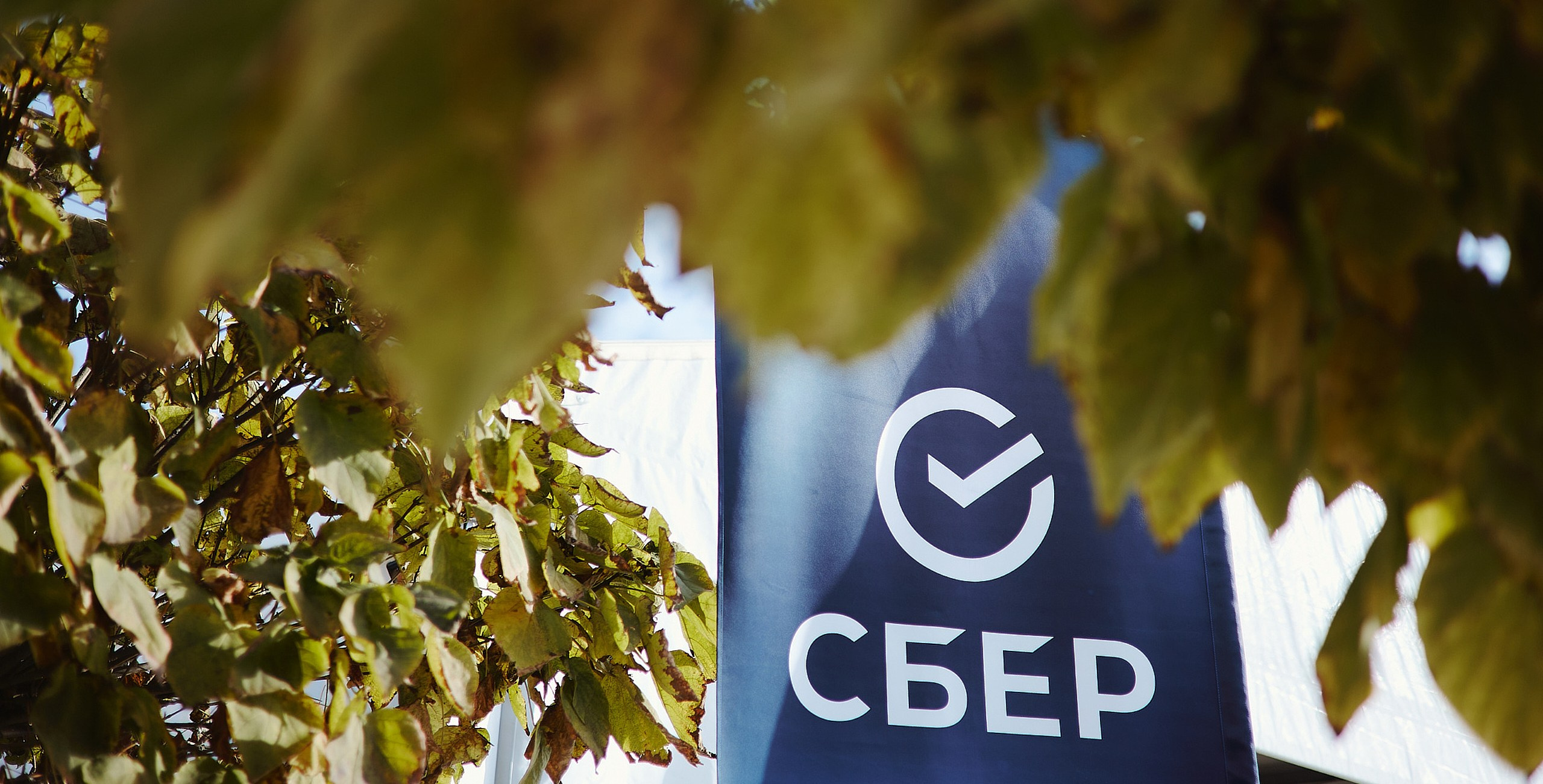 Фотограф Григорий Сотников