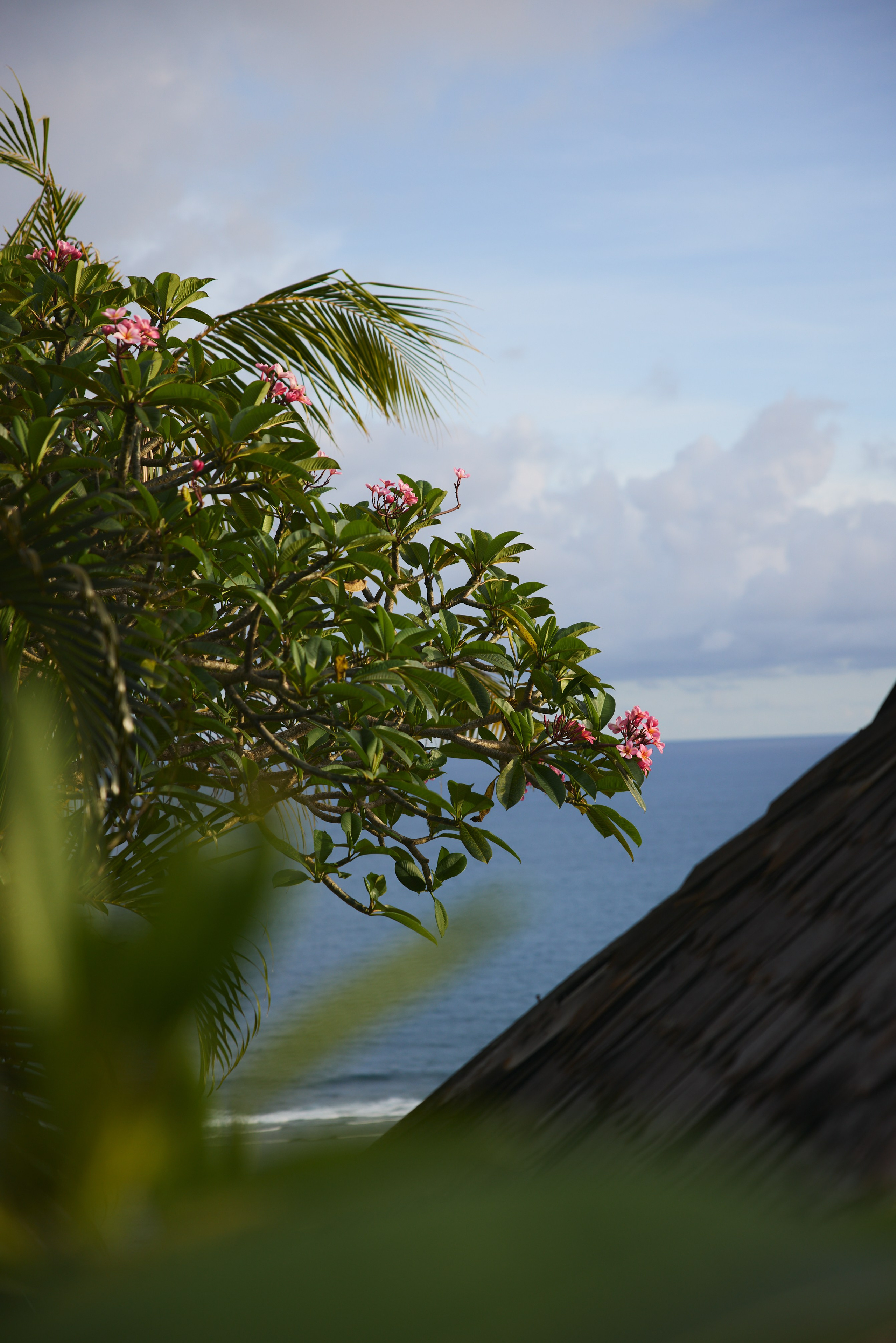 Ретрит Бали '26 «Be Your Own Muse»Март. Профессиональный фотограф Татьяна Евглевская