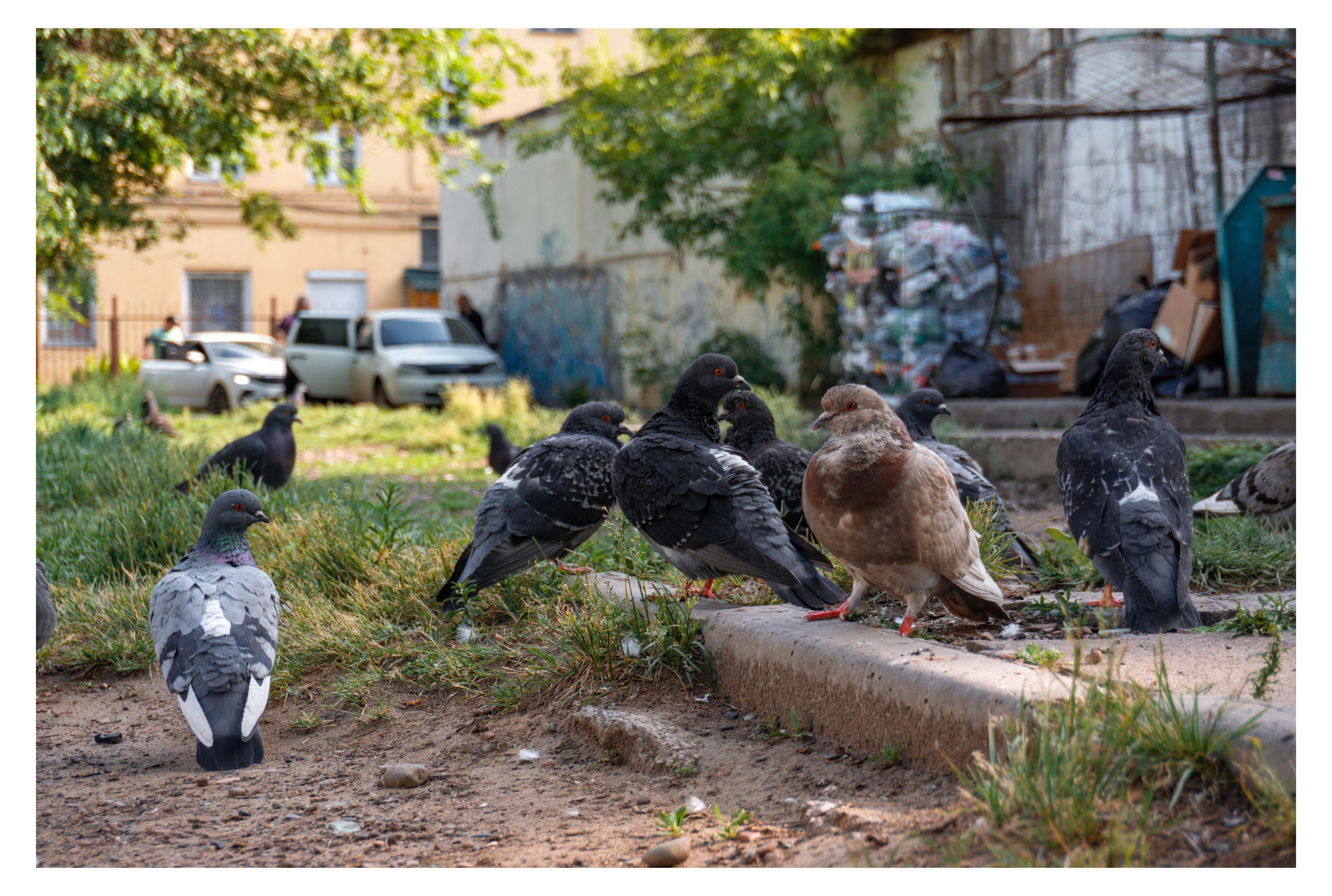03.06.2025 | Красноярск. Kuznetsov | Фотограф в Красноярске