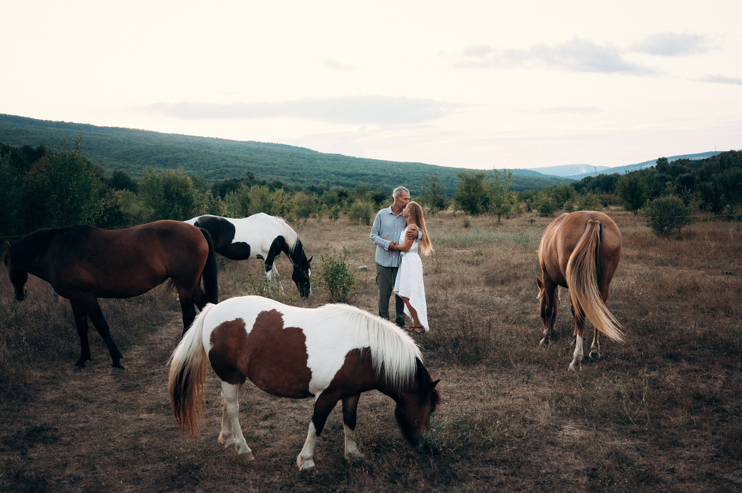Проект свободных лошадей. Обо мне