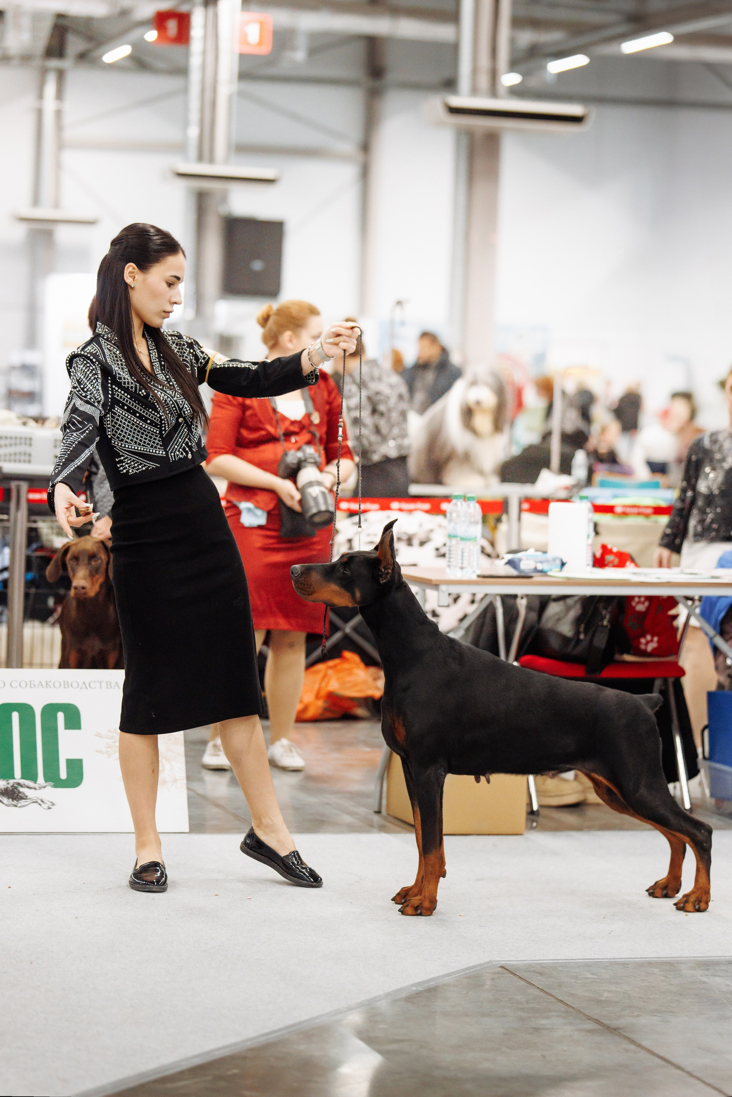 29-30.11.2025 — Казань «Зилант». Фотограф-анималист Саша Вязьмина