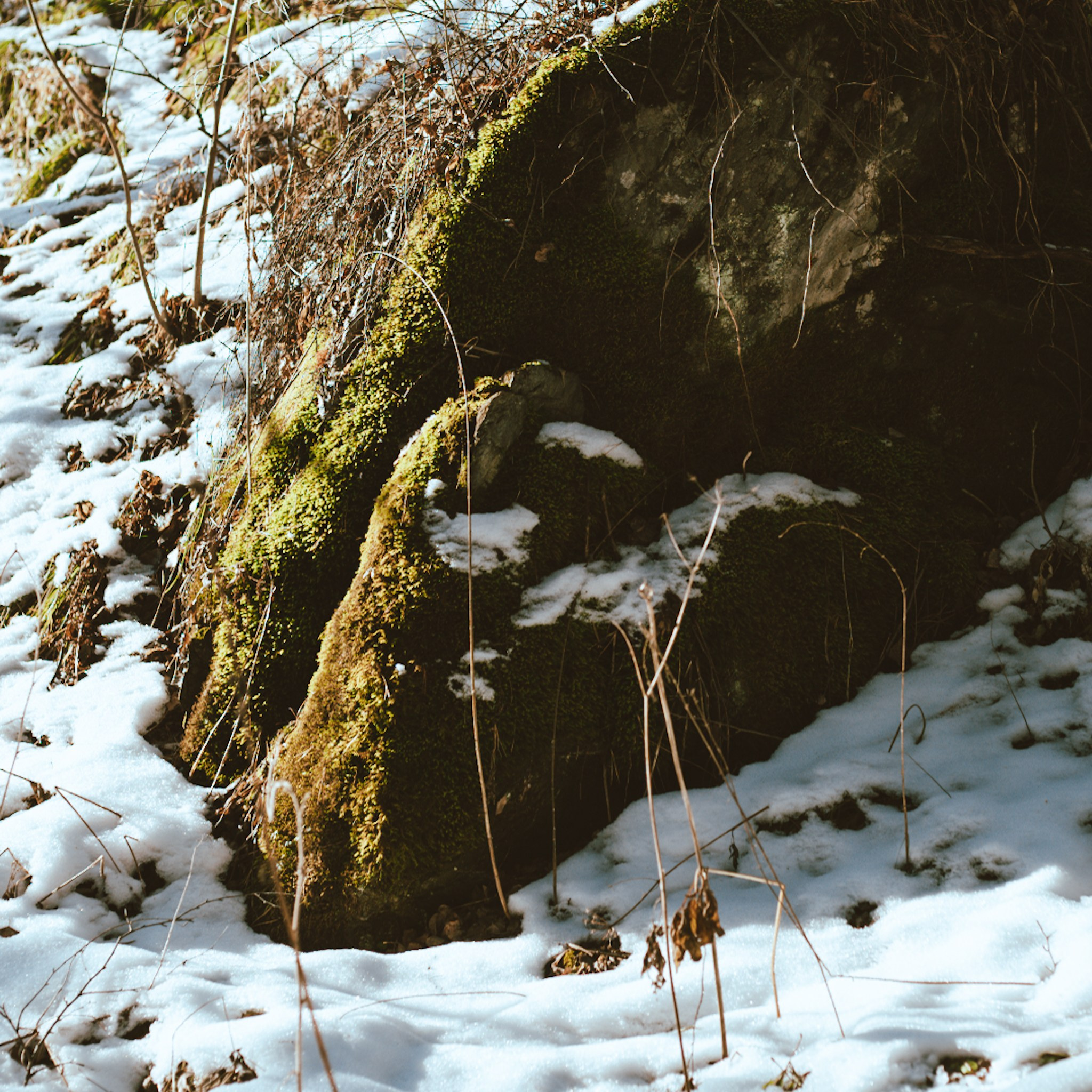 Алтай. Больше не греет
