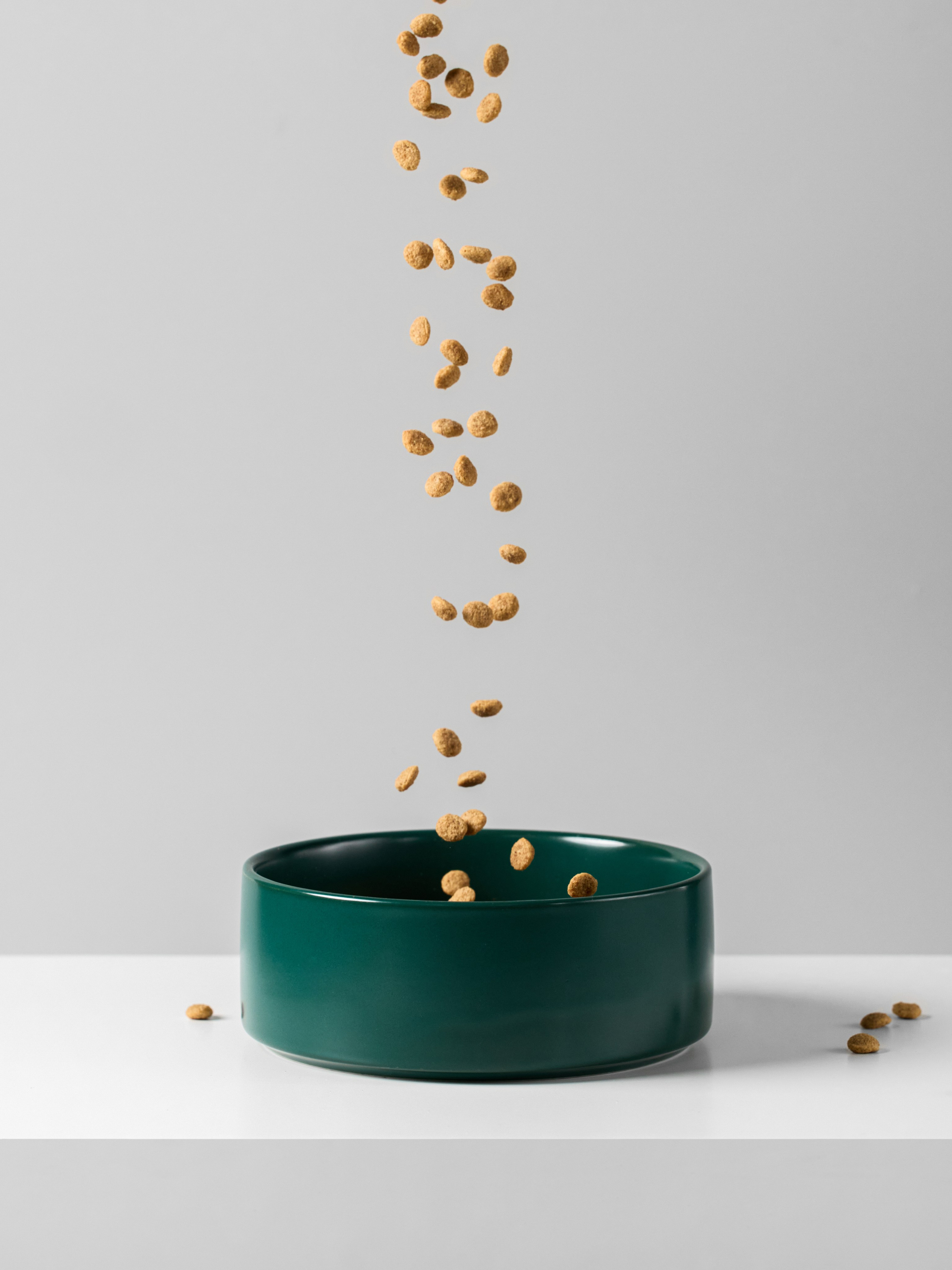 Предметная съемка товаров для животных. Съемка товаров для животных. Предметная съемка. Предметный фотограф Орехово-Зуево