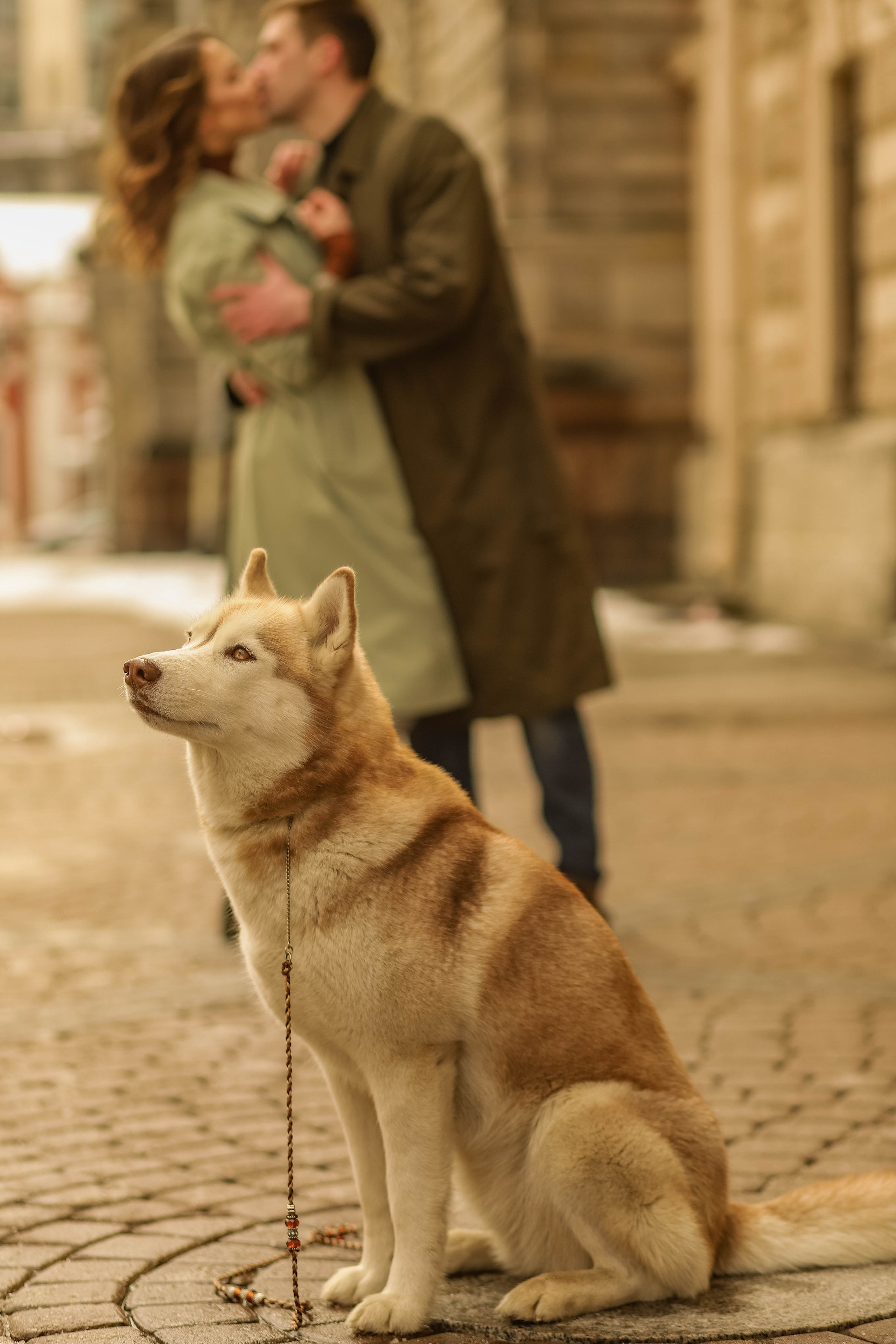 Лавстори. Семейный свадебный интерьерный фотограф Тверь Санкт- Марина Свистунова