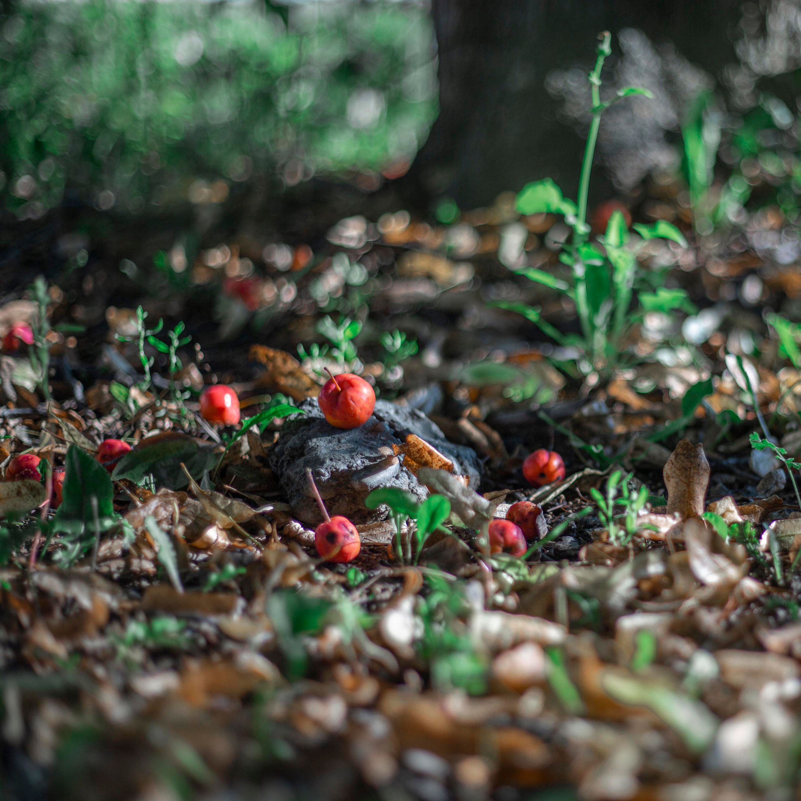 Просто красиво. Детский и семейный фотограф Барнаул Татьяна Губанова