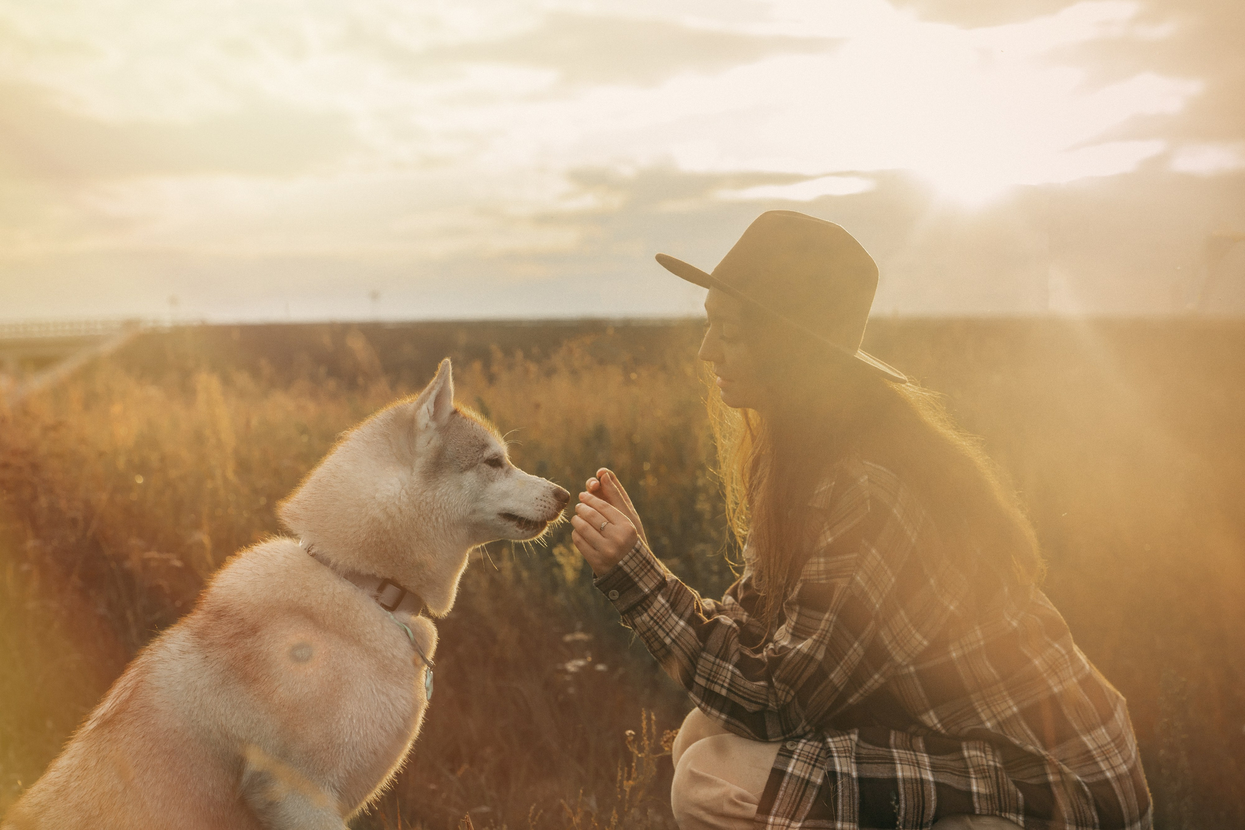 Мария и Джесси. Фотограф анималист в Москве и Санкт-Петербурге Свиридова Анна