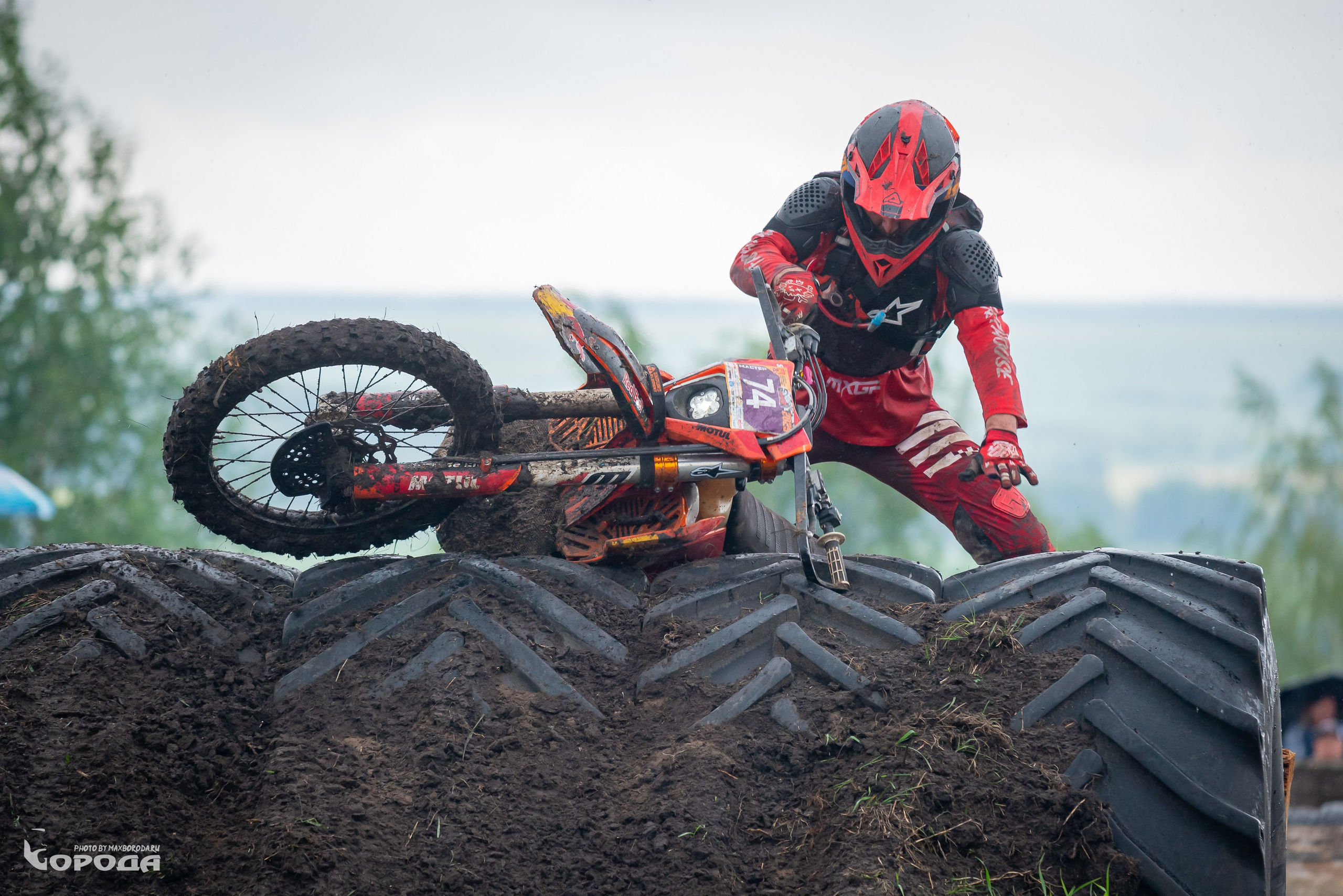 Дубрава 2025. Фотограф | Макс Борода