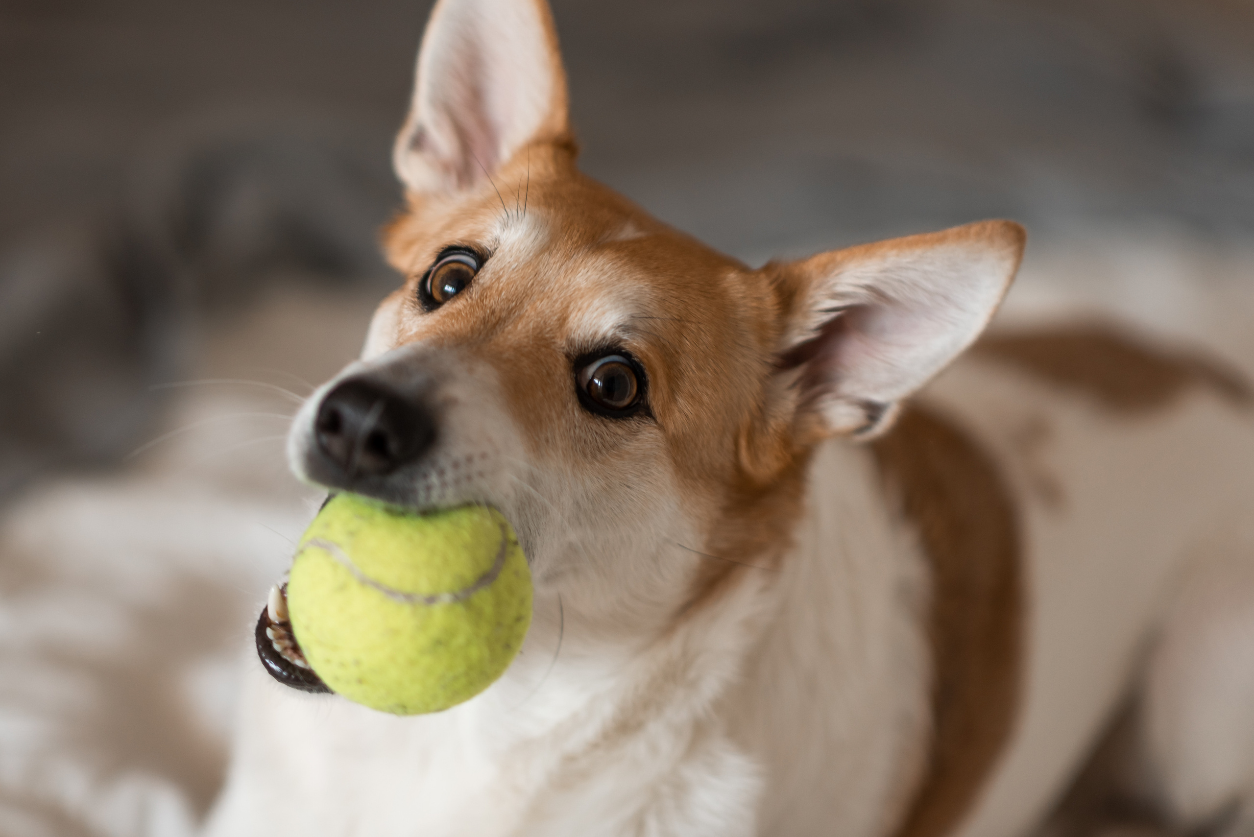 Дом там, где мы. Свадебный и семейный фотограф в Самаре Любовь Атюшева