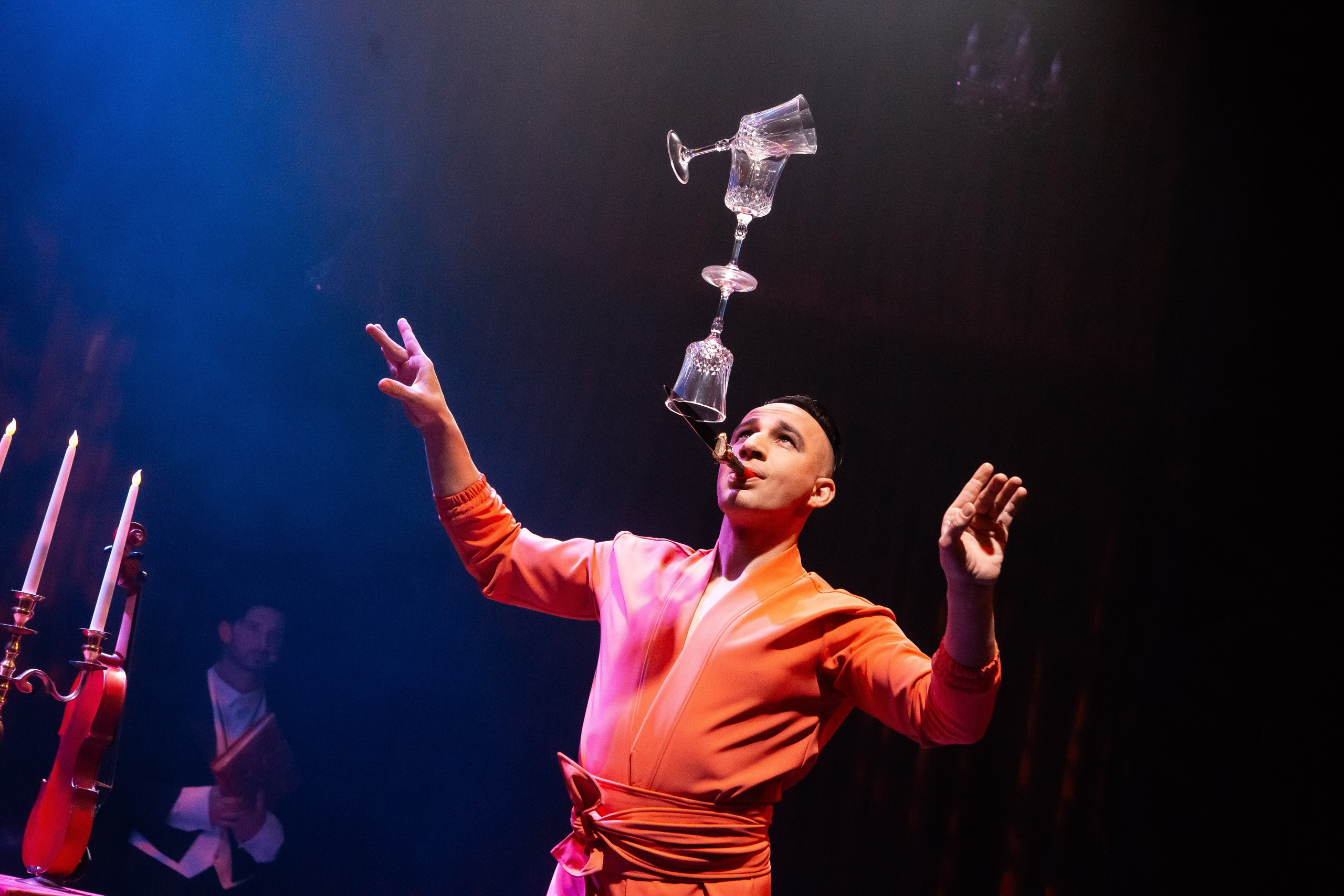 Цирковое шоу. Видеограф Добромыслов