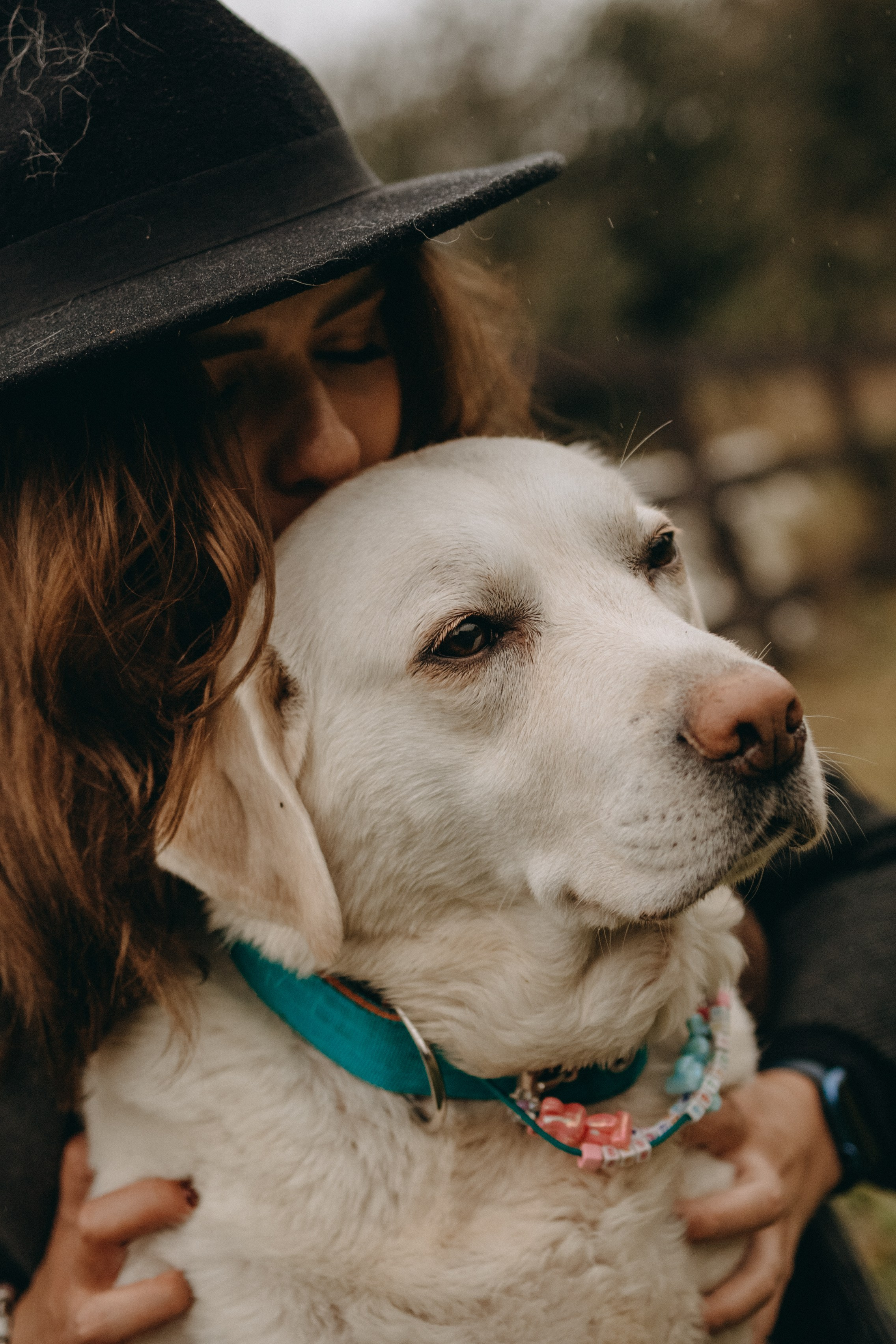 Женя и ее девочки. Фотограф — Анималист | Санкт-Петербург