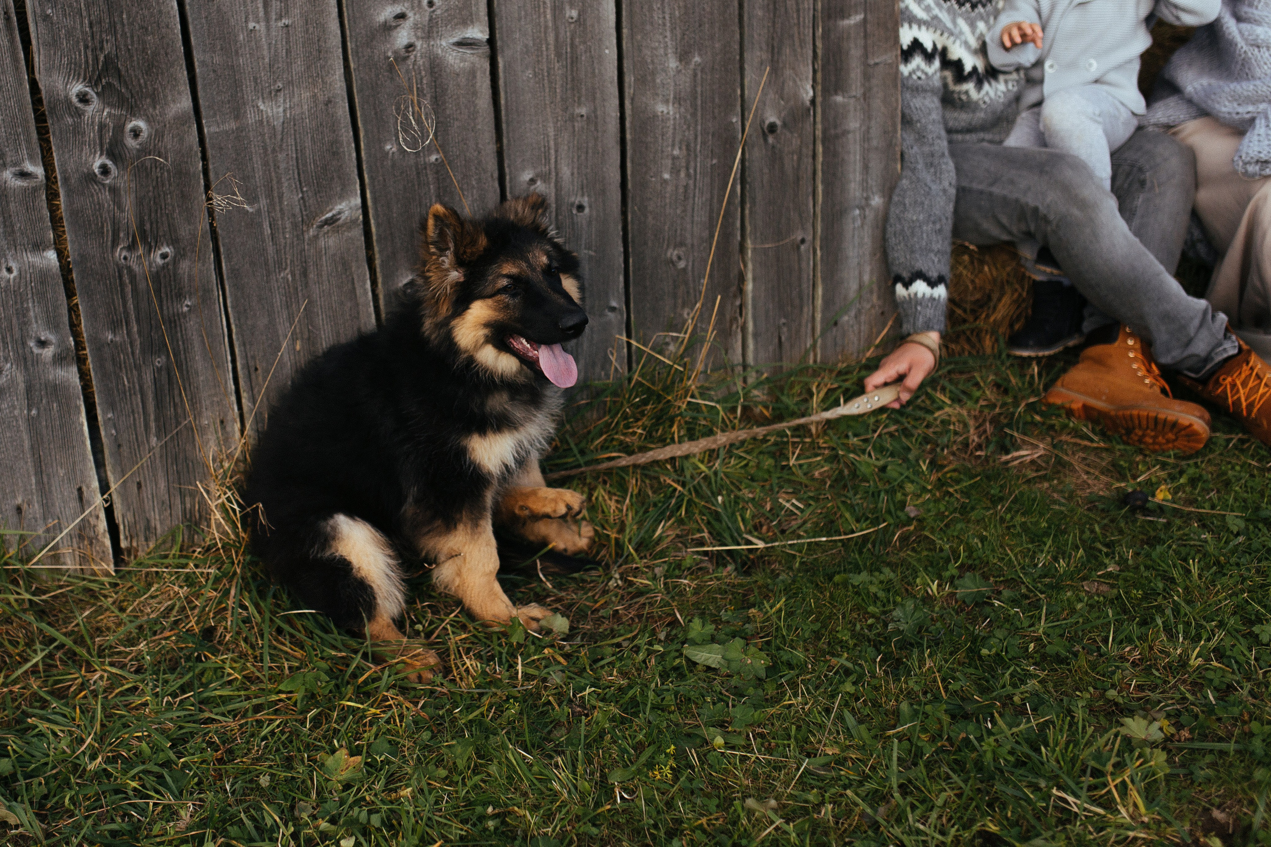 Свадебная фотосессия в горах. Свадебный фотограф и видеограф Краснодар, Ростов, Сочи, Новороссийск