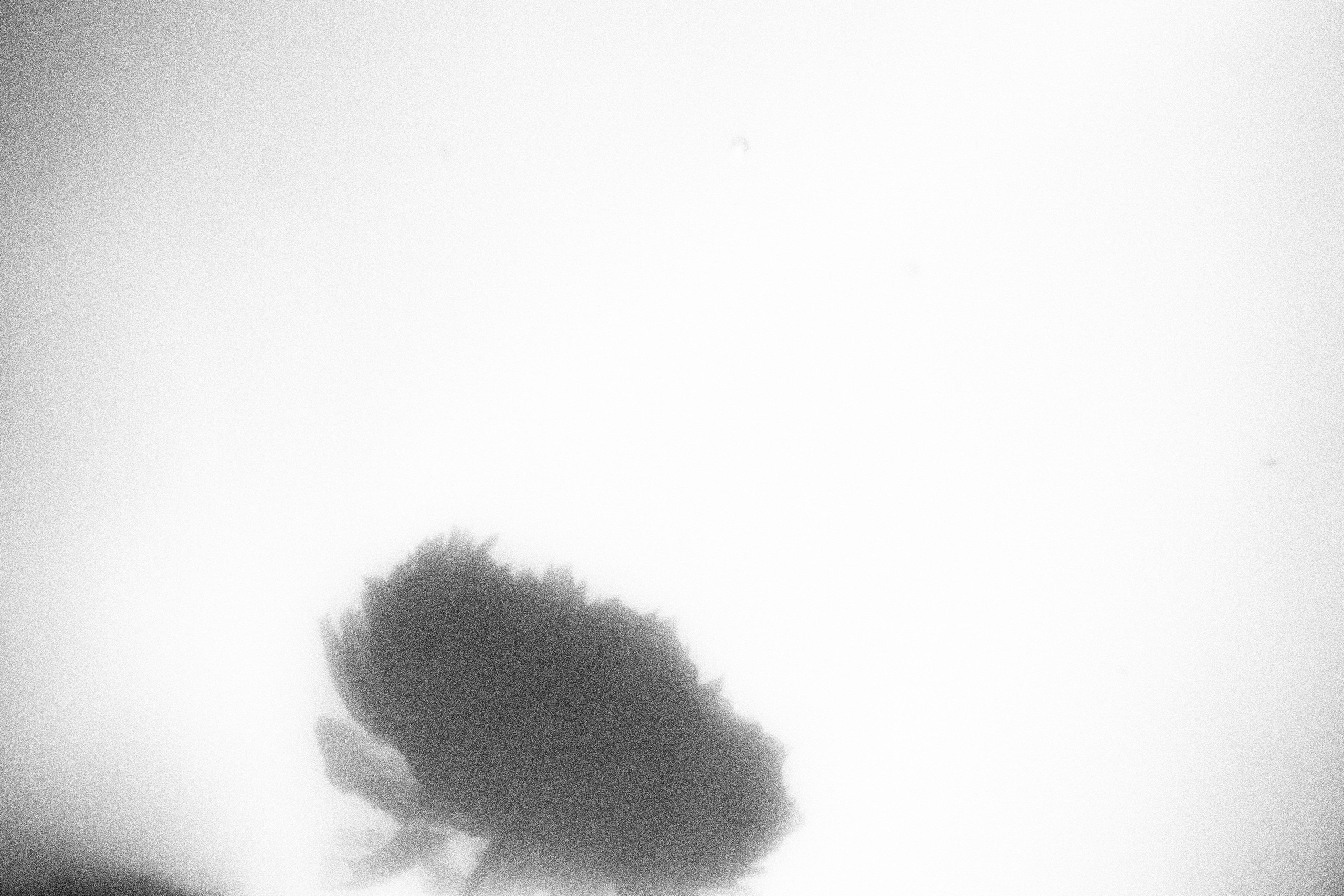 «Видеть. Чувствовать. Сохранять»