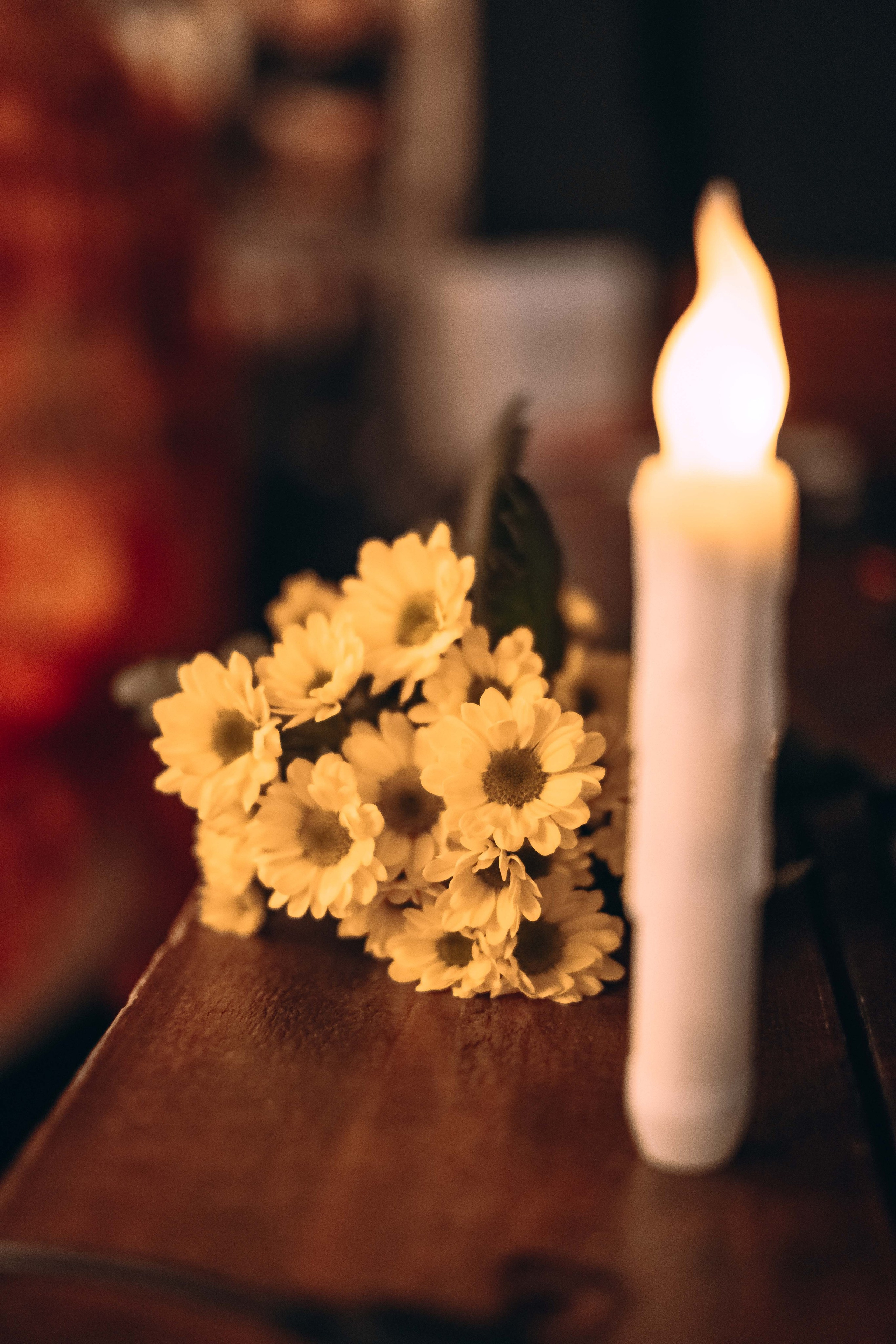 Один день лета | Альтер Эхо. Фотограф Аннё| Москва