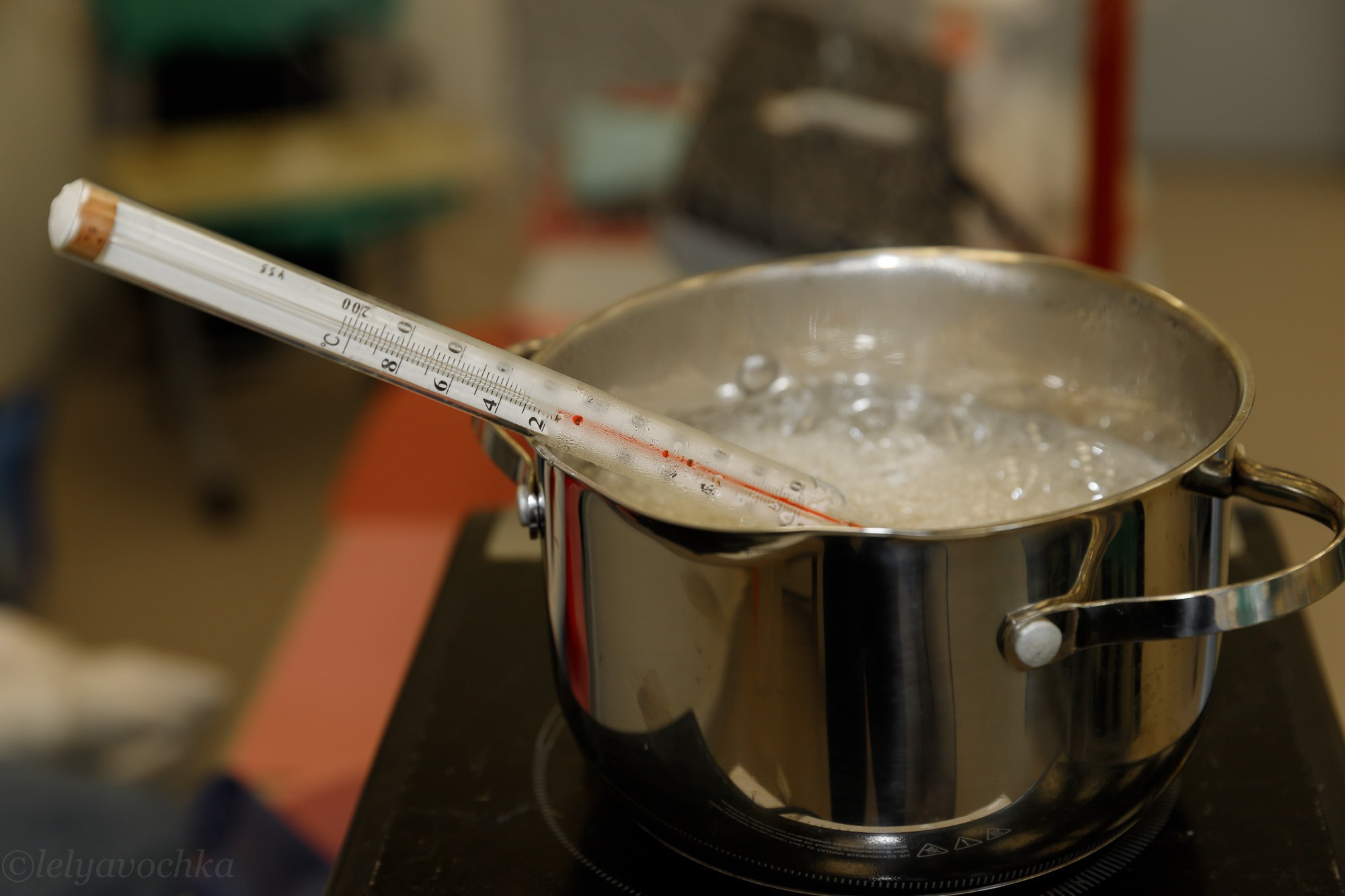 Мастер-класс в школе. Счастливый фотограф Елена Лелявочка Санкт-Петербург