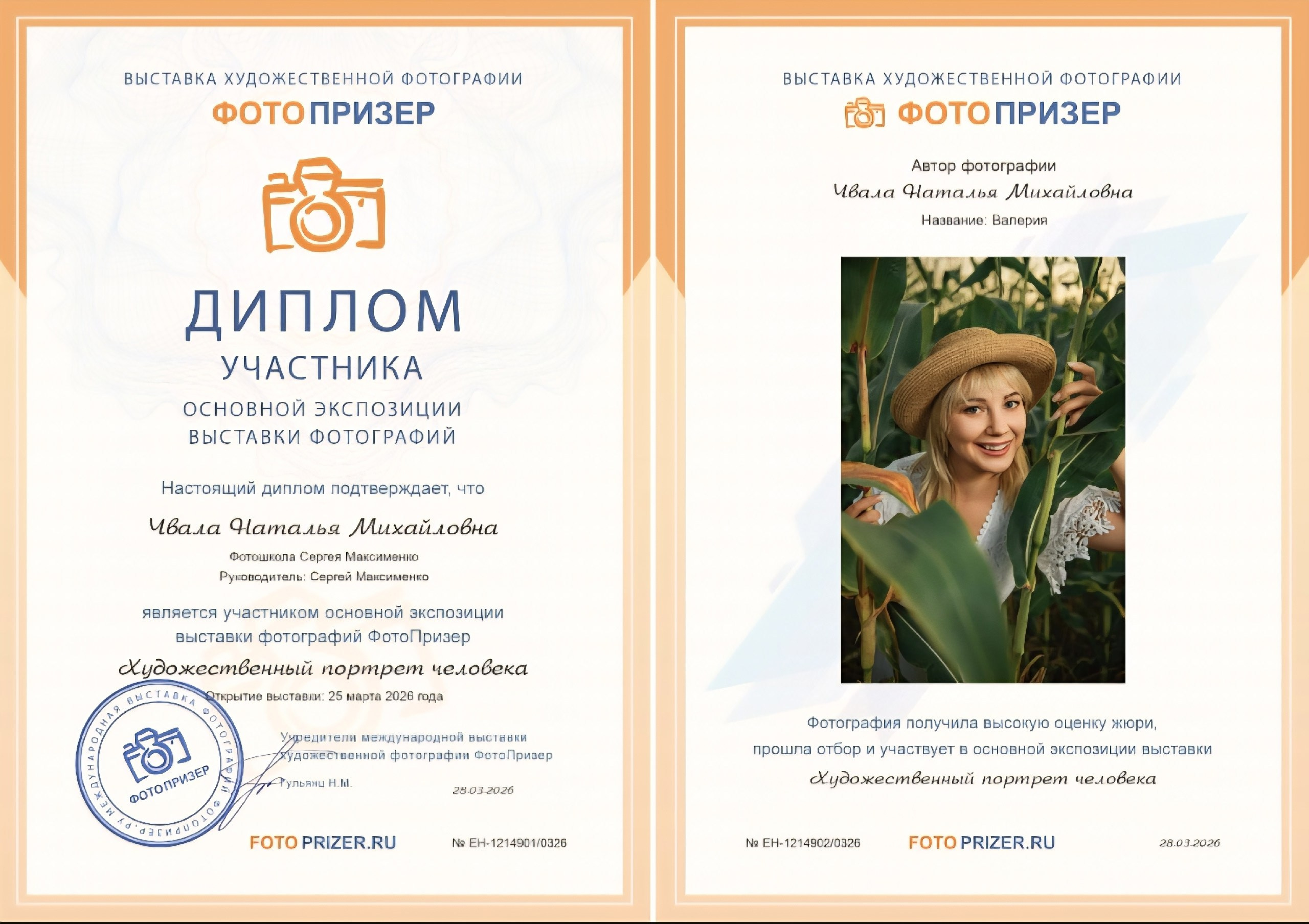 Дипломы