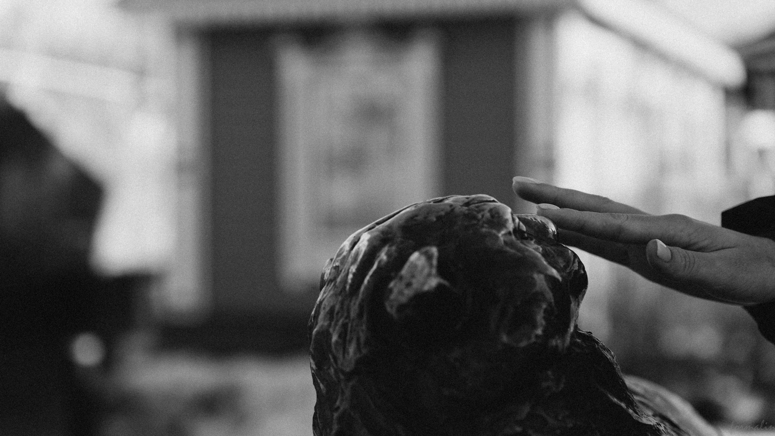 Экскурсия по Казани. Алиса Никитцова | Фотограф в Казани