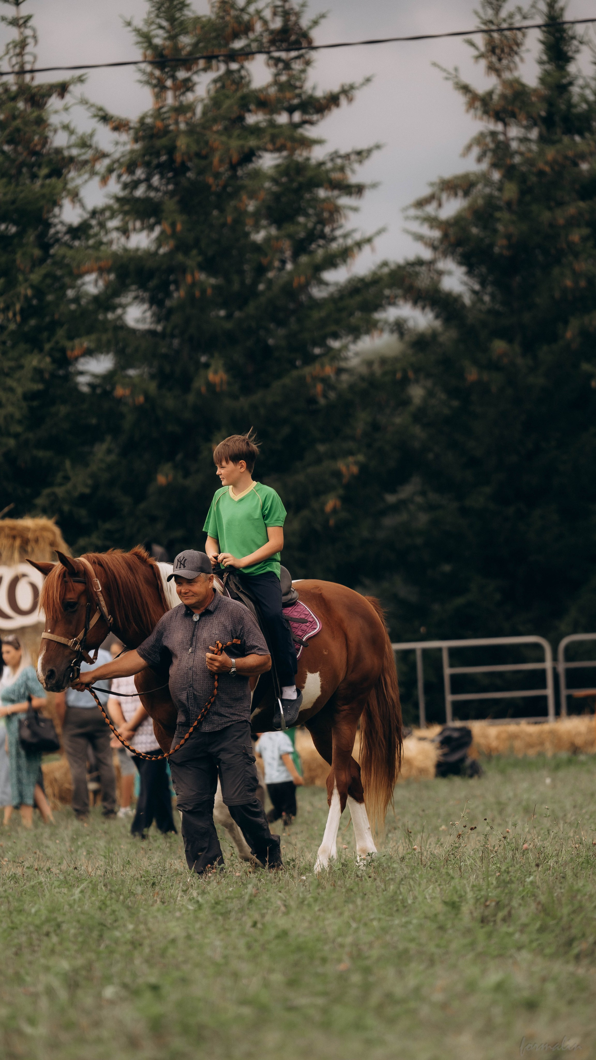 День Коня. Алиса Никитцова | Фотограф в Казани