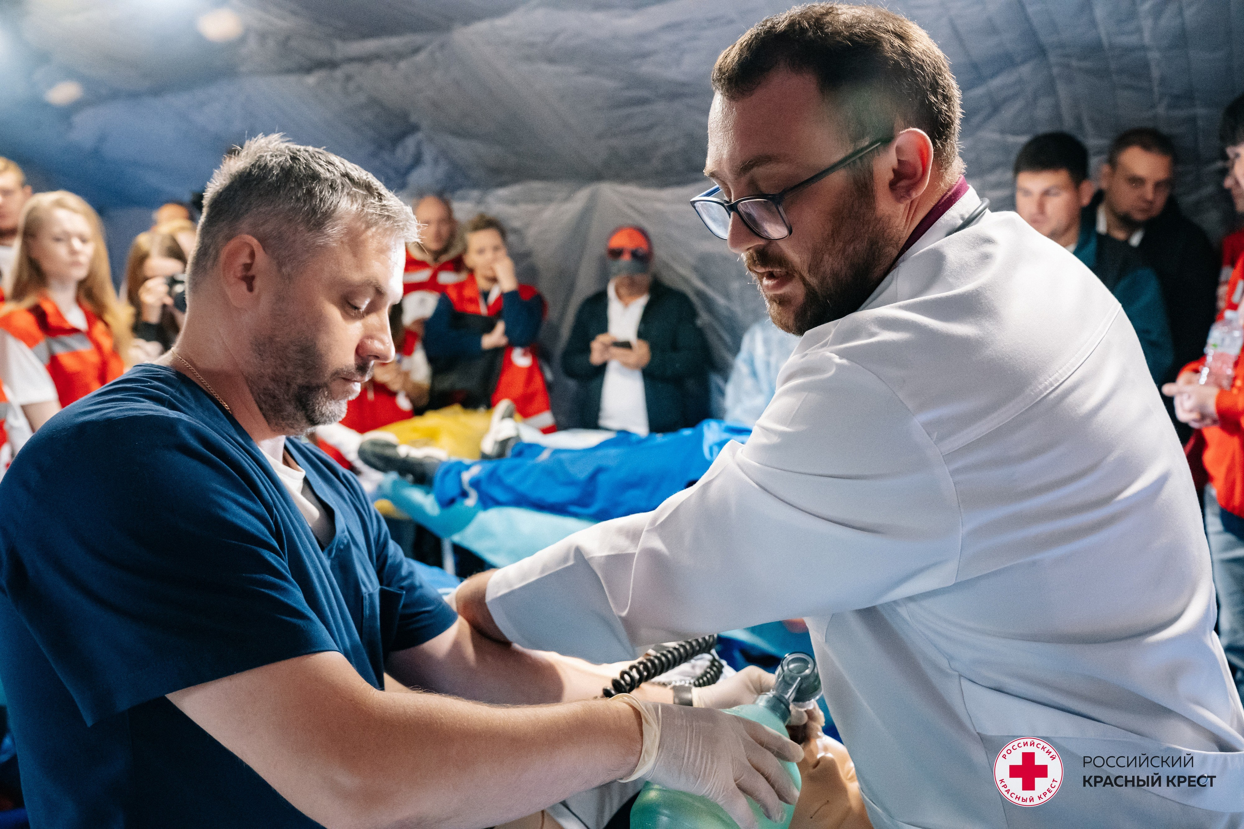 Красный крест | Дегас, медвежья берлога. Фотограф в Воронеже Ольга Космодемьянская