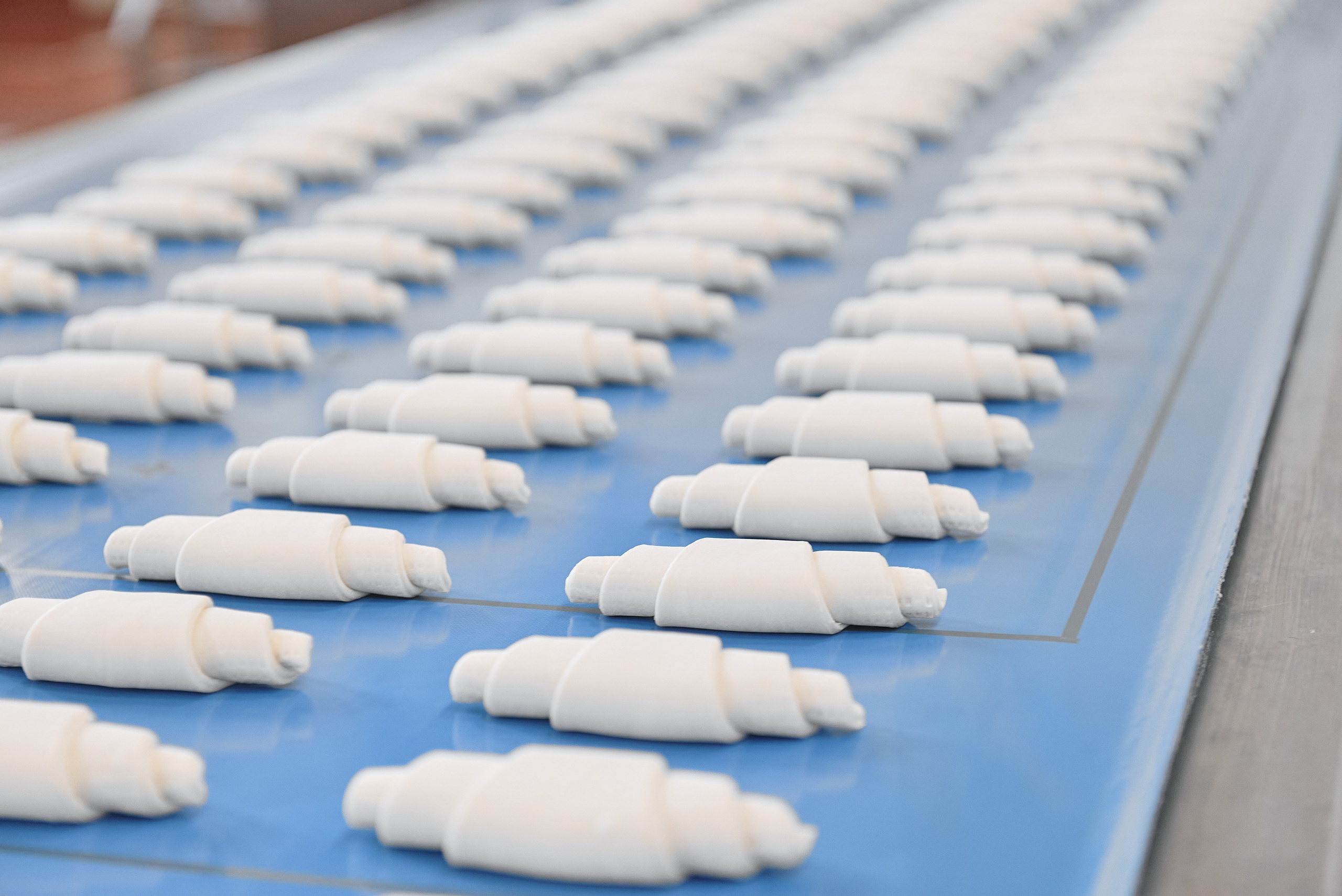 Фотограф на мероприятие. Light Media — креативный видеопродакшн