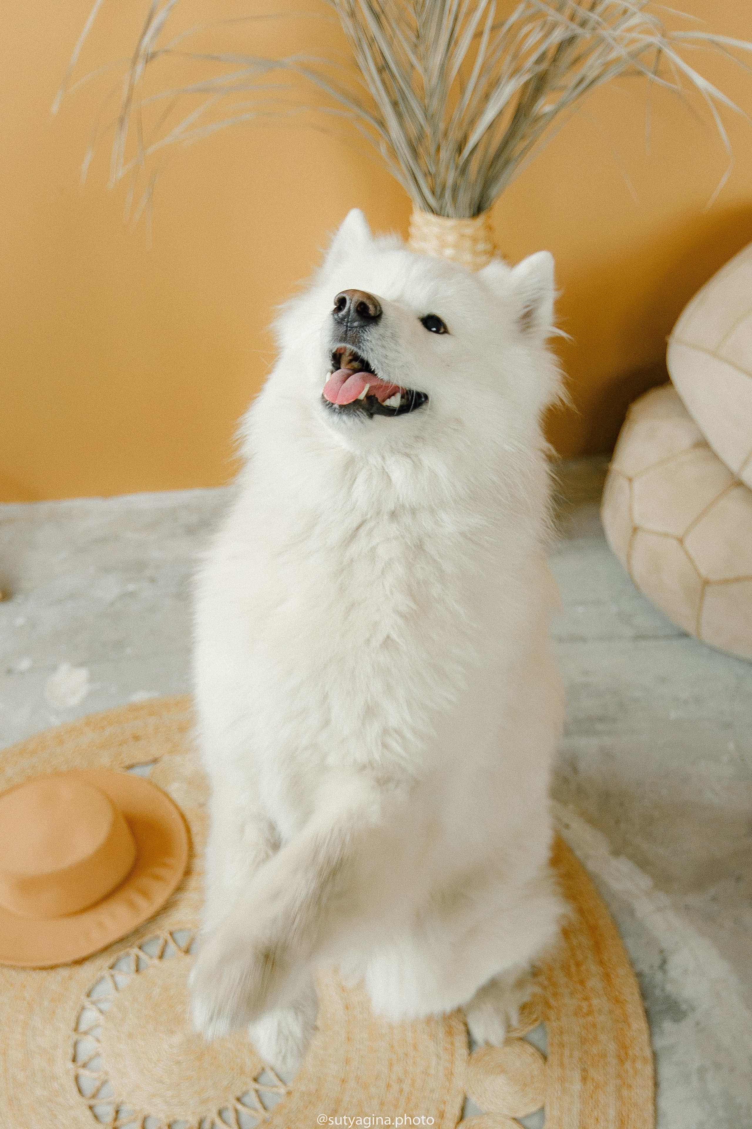 Самоед Мартин. Свадебный и женский фотограф