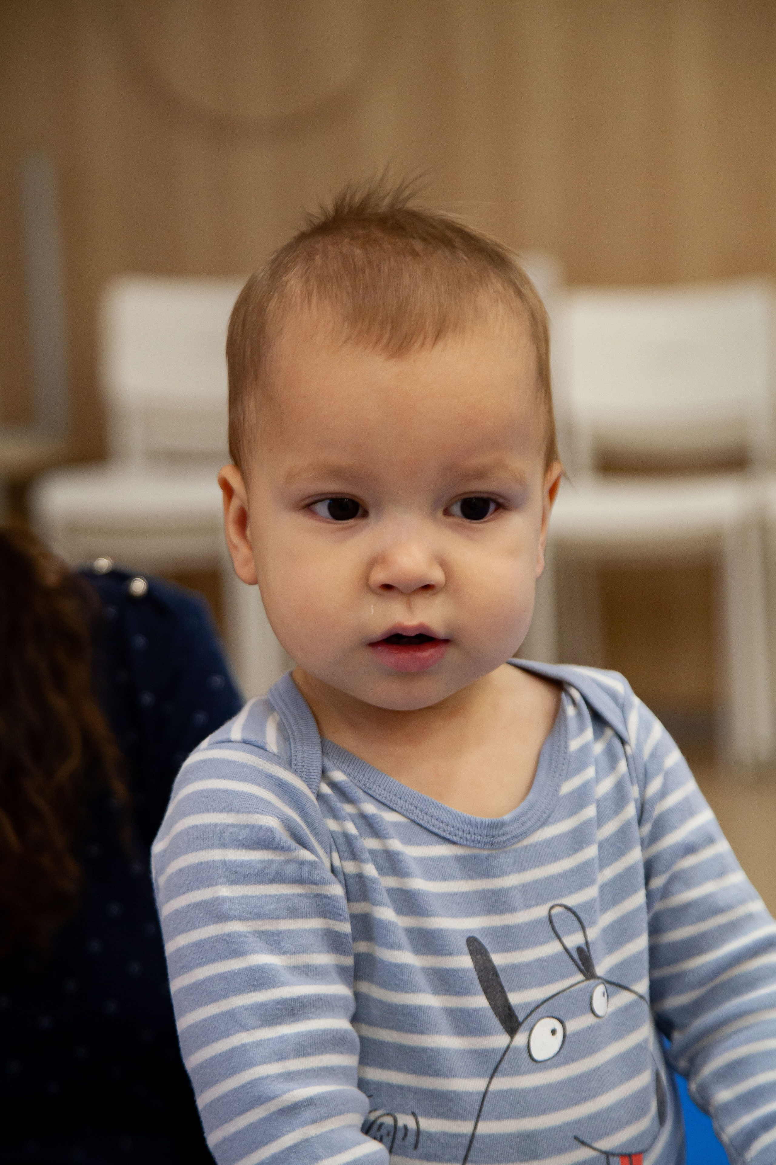 Музыкальный концерт скрипки. 11.11.23. Профессиональное фото в Казани: от идеи до результата. Фотограф Яна Мур