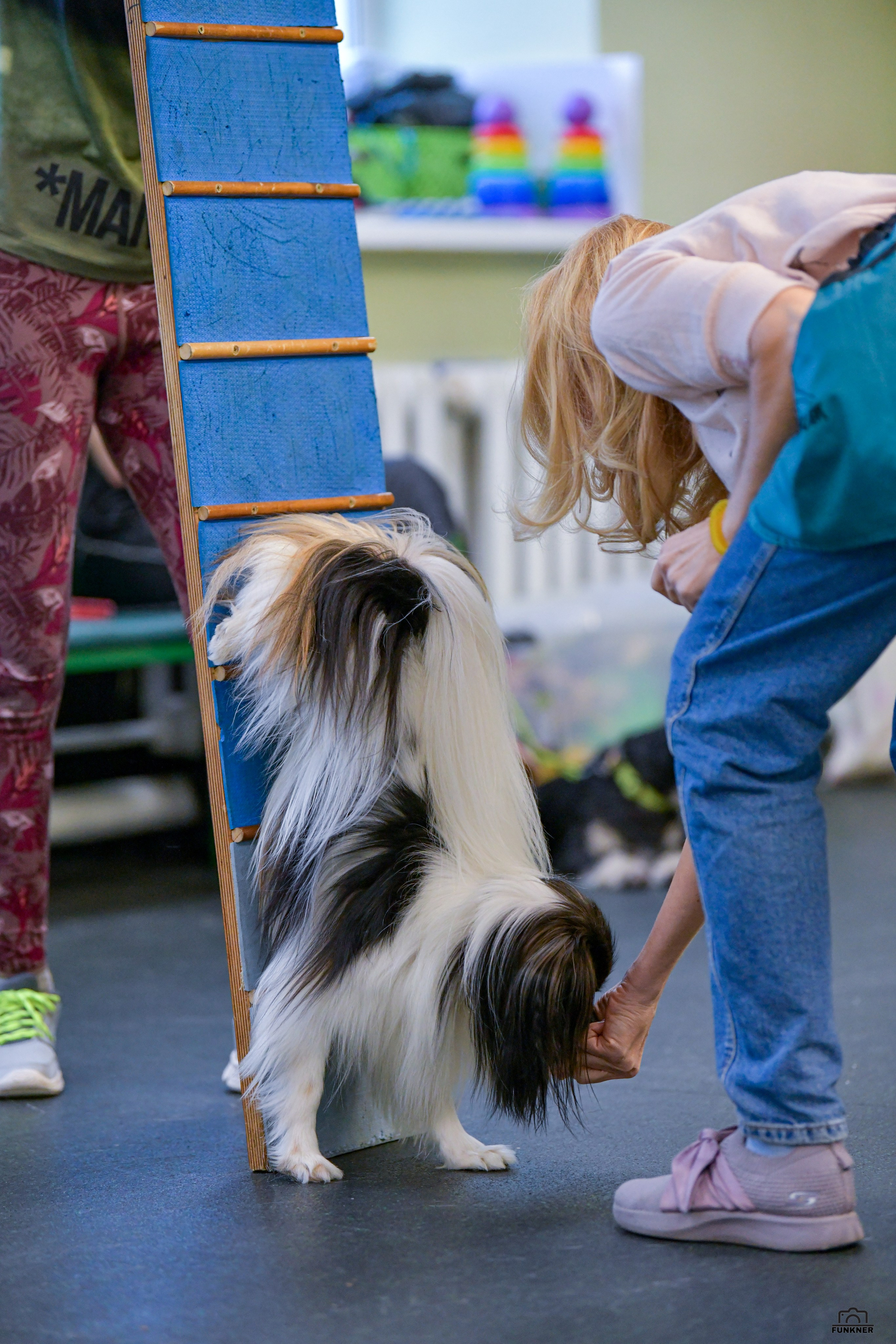 Кинологический клуб «Бодрый хвост». Свой взгляд через объектив