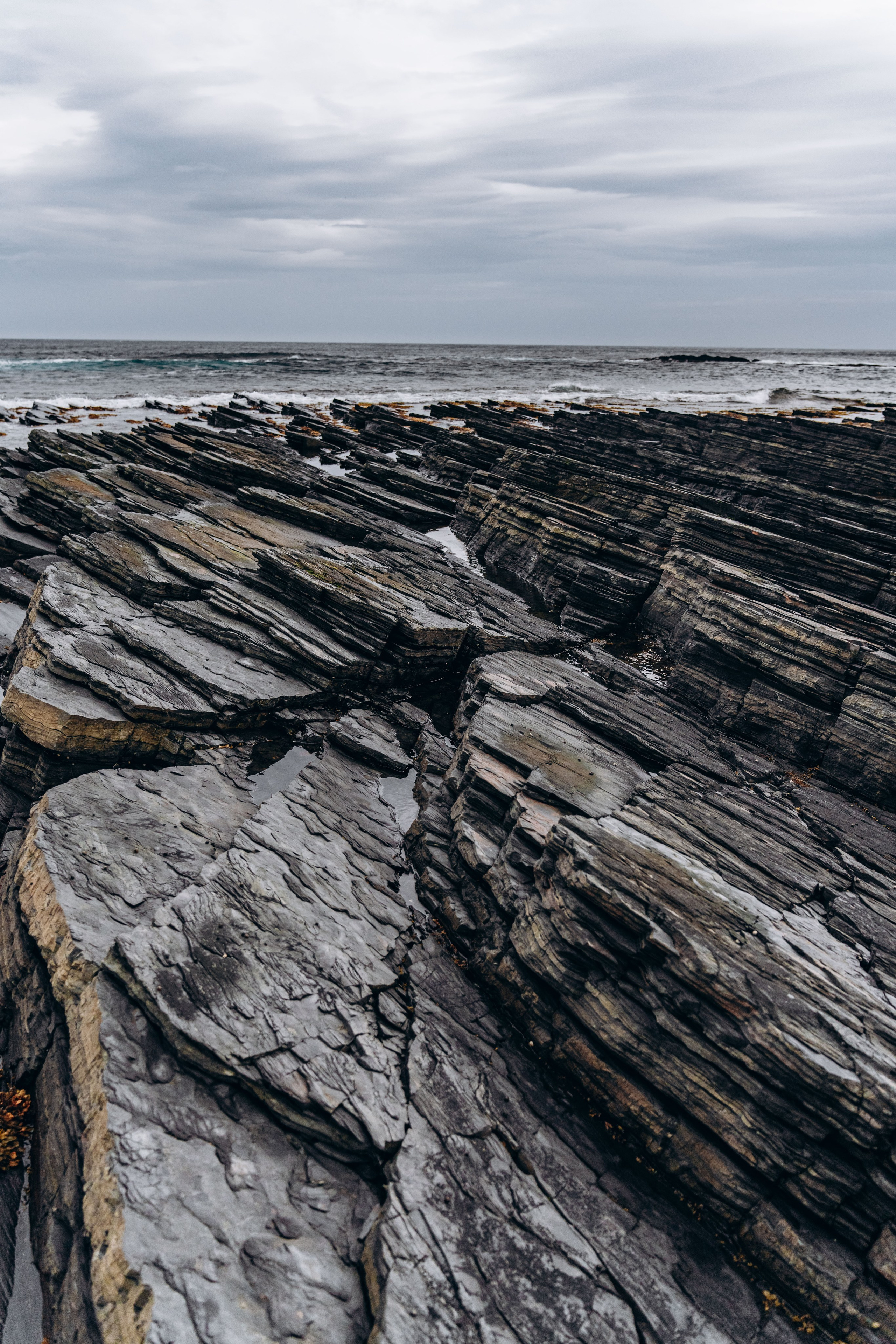 СЕВЕР. Event фотограф Степанова Александра
