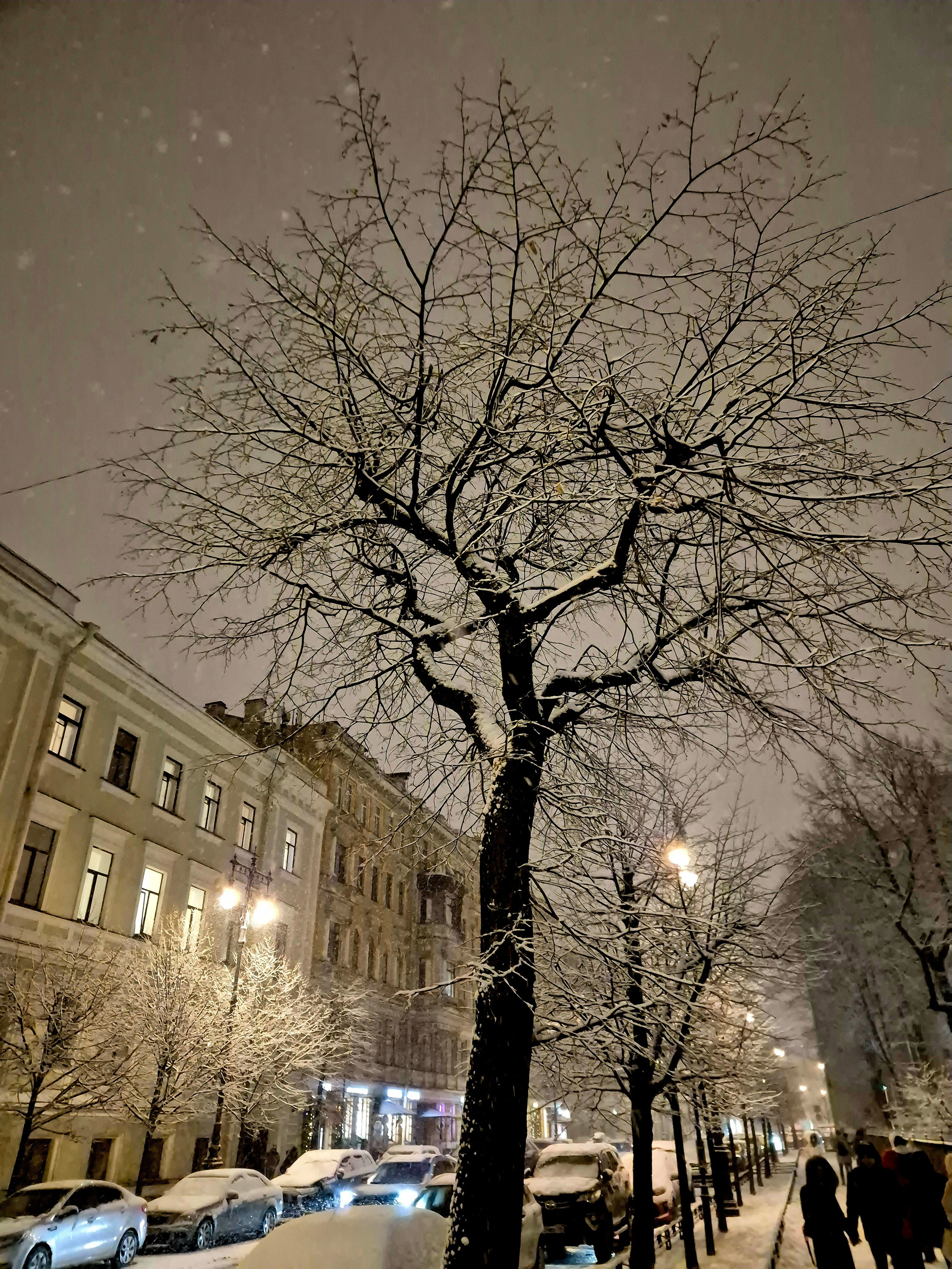 Улочки сразу стали загадочными