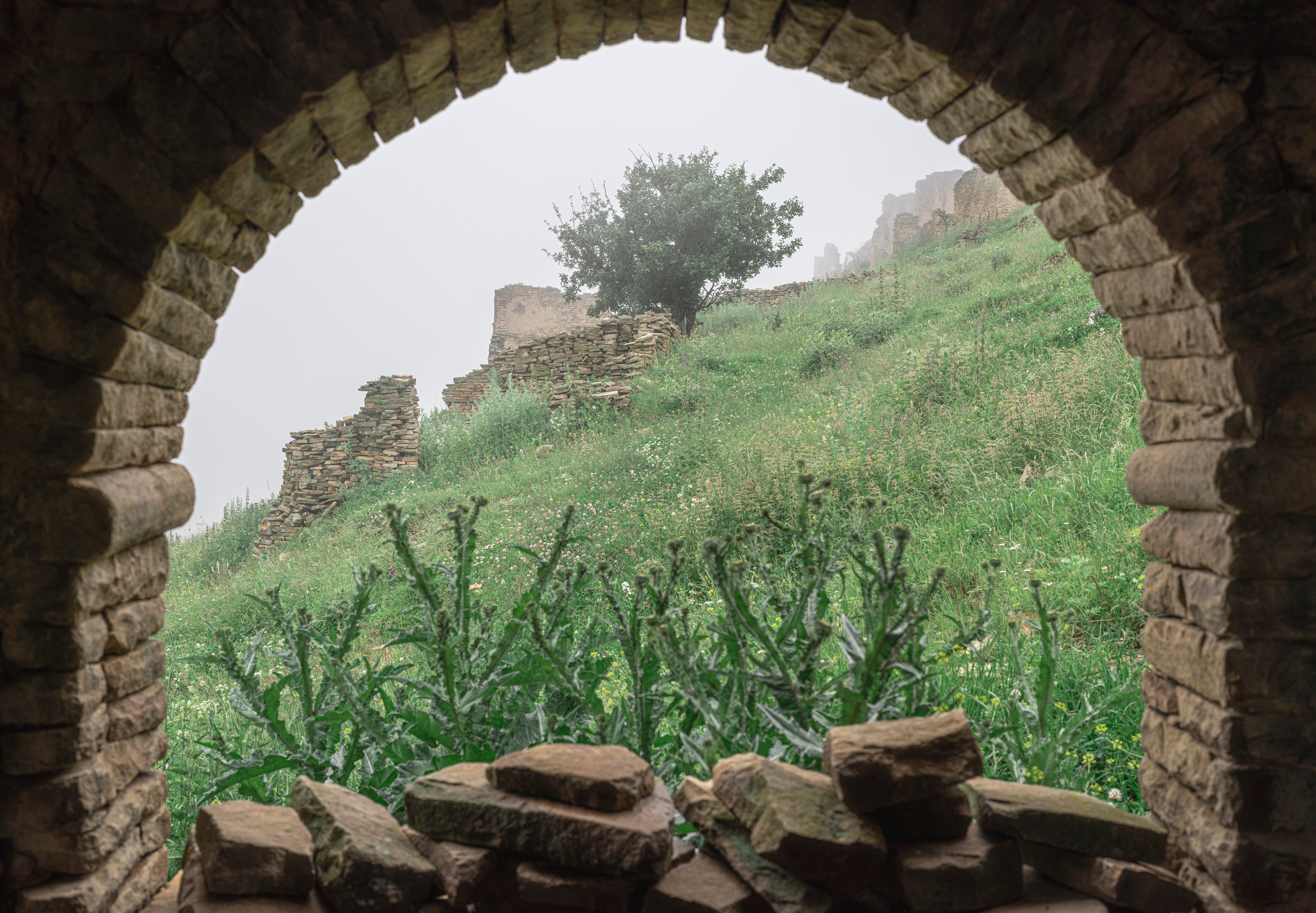 Дагестан (июль 2022). Фотограф Сергей Танков