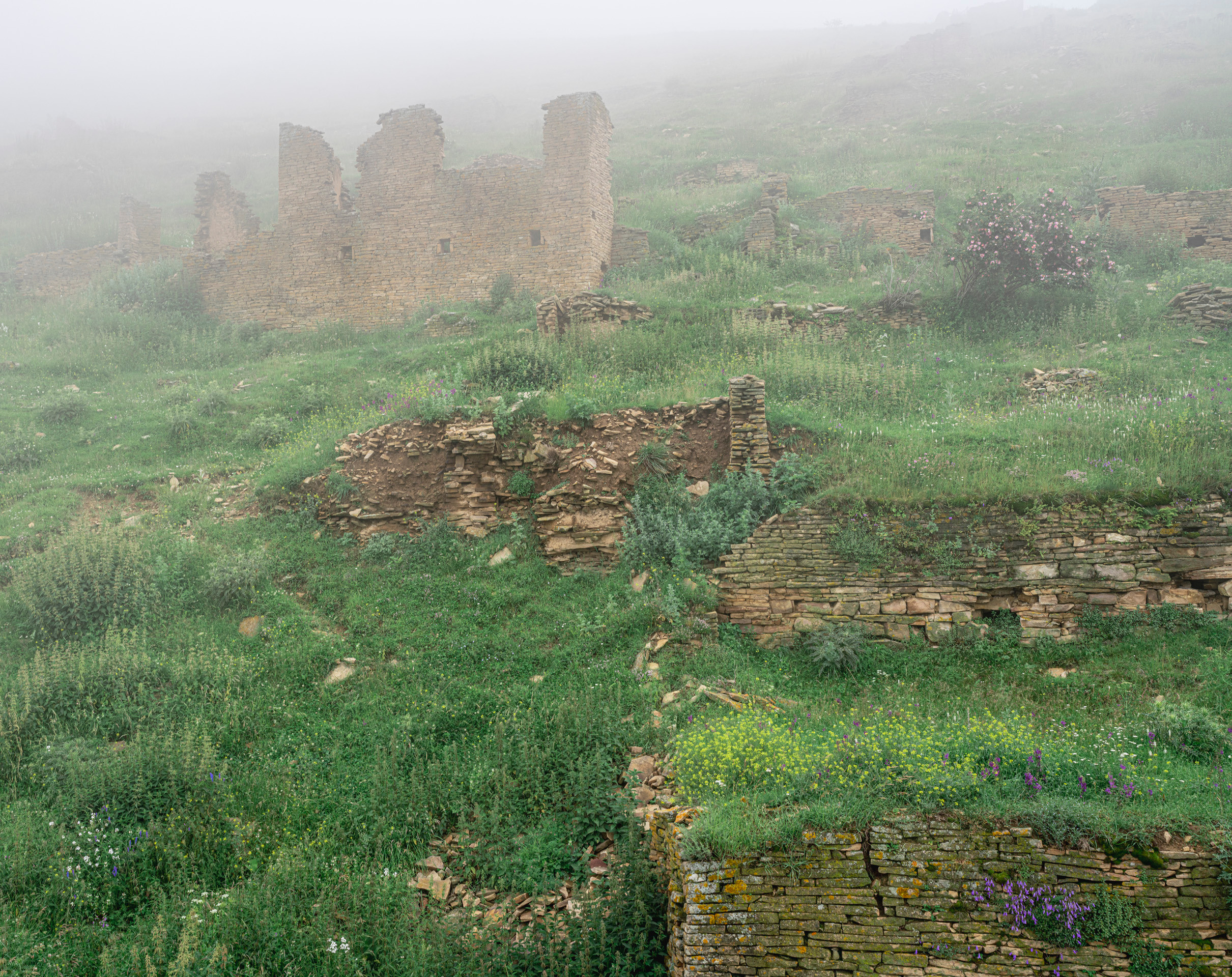 Дагестан (июль 2022). Фотограф Сергей Танков