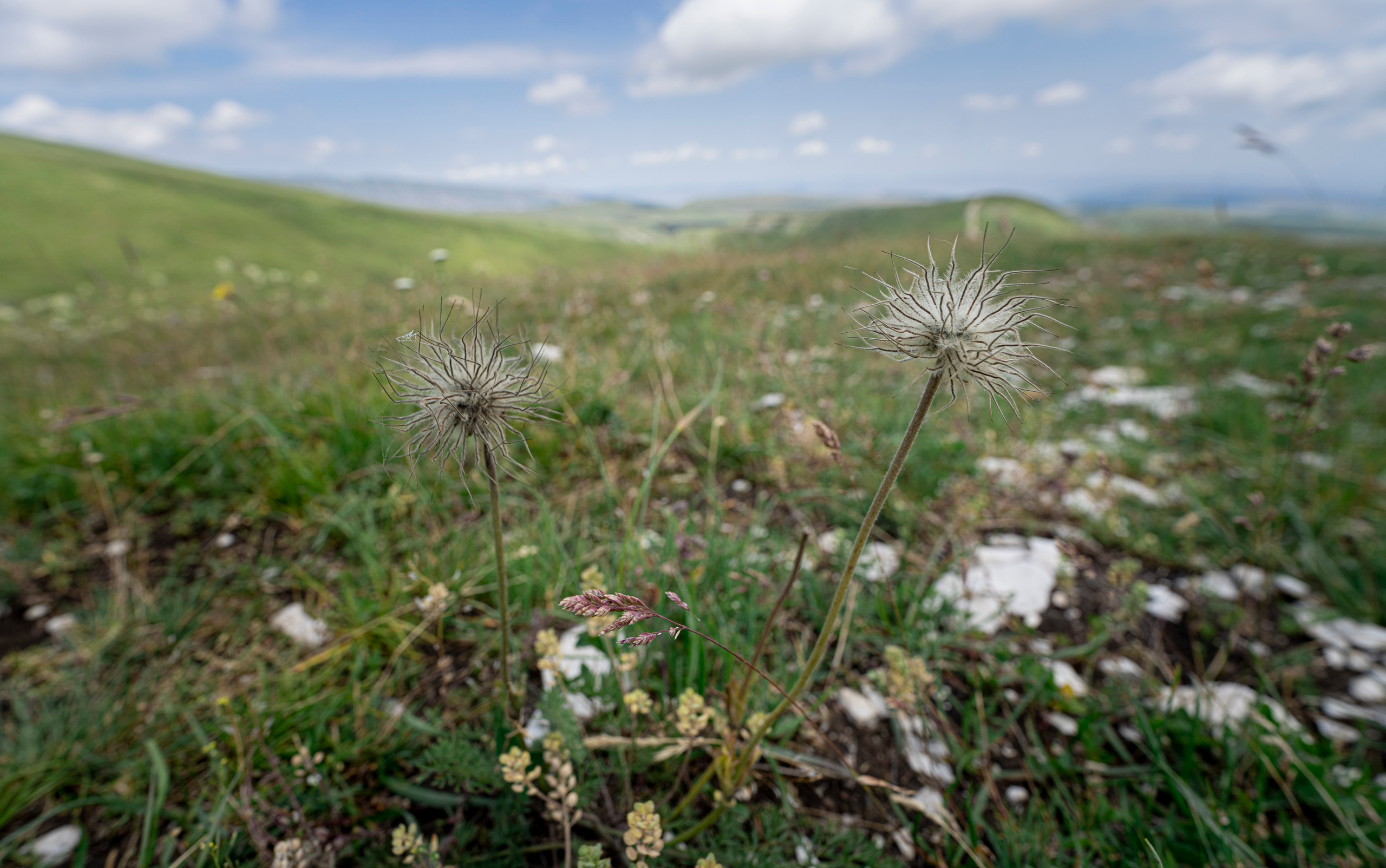 Дагестан (июль 2022). Фотограф Сергей Танков