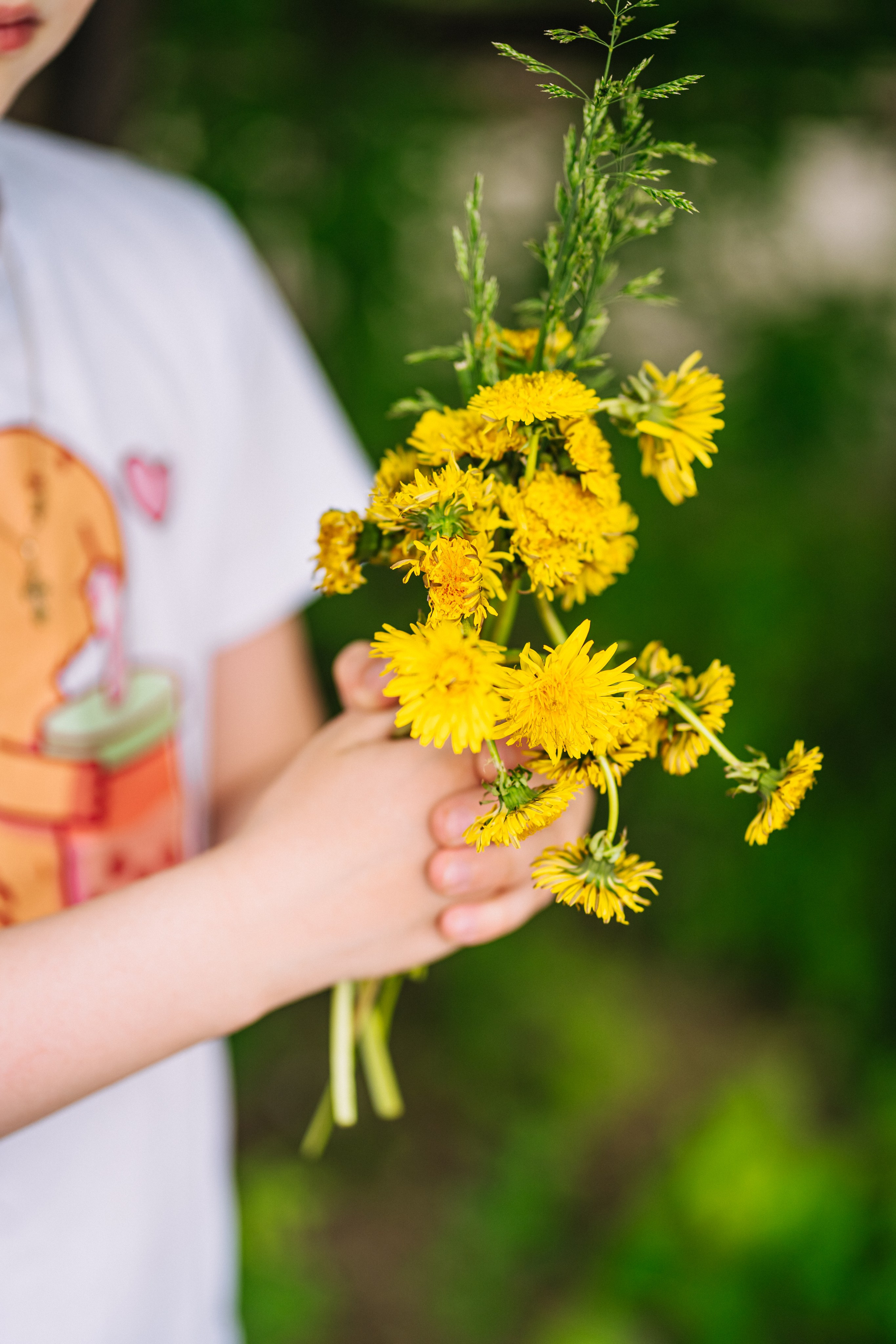 Сад4. Школьные альбомы и альбомы для детского сада. Юлия Осипова. Москва
