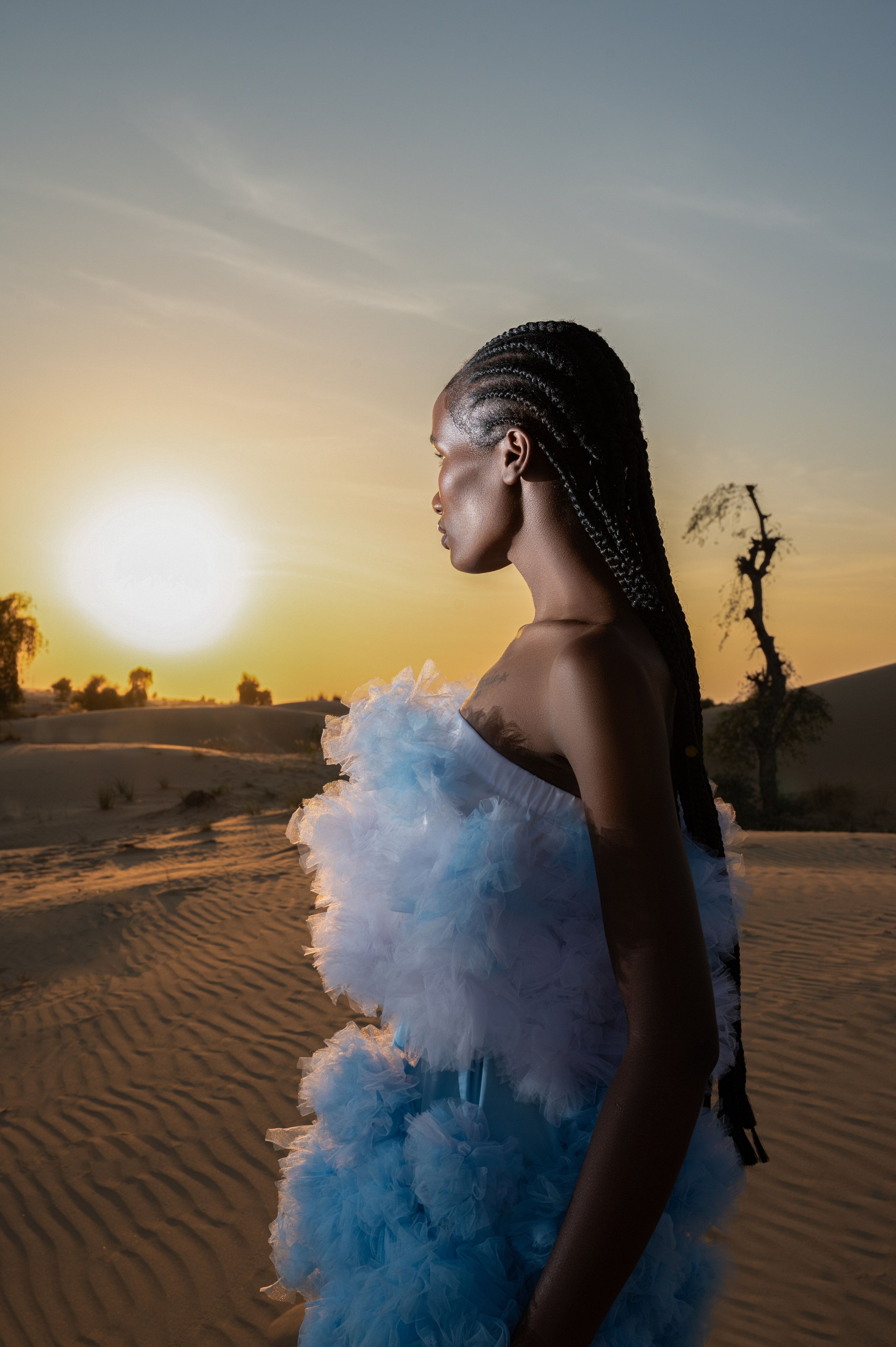 Dali mood. Коммерческий фотограф Москва /Дубай, эксклюзивные фэшн фотосессии