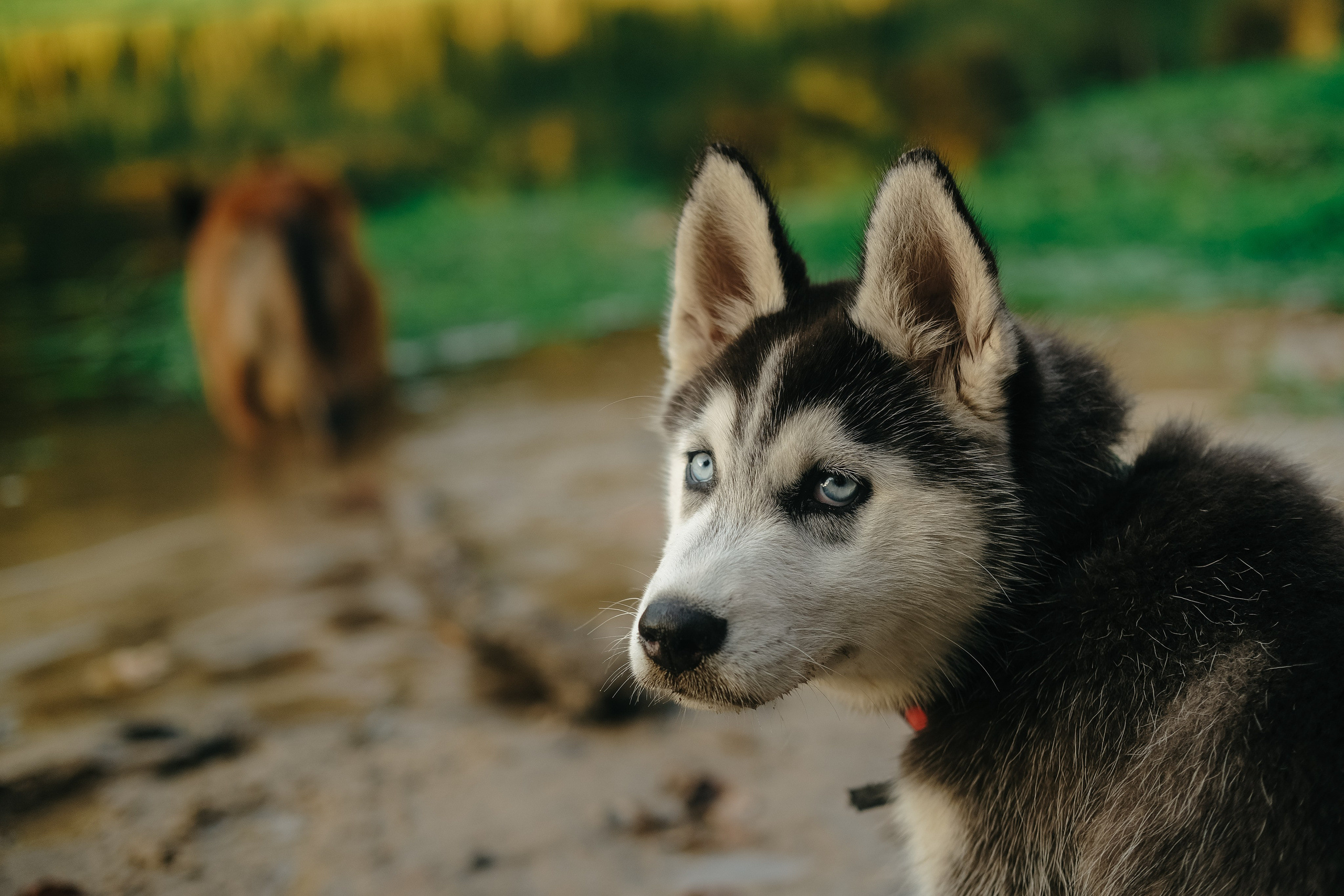Поход по лесу в Марий-Эл. Обо мне