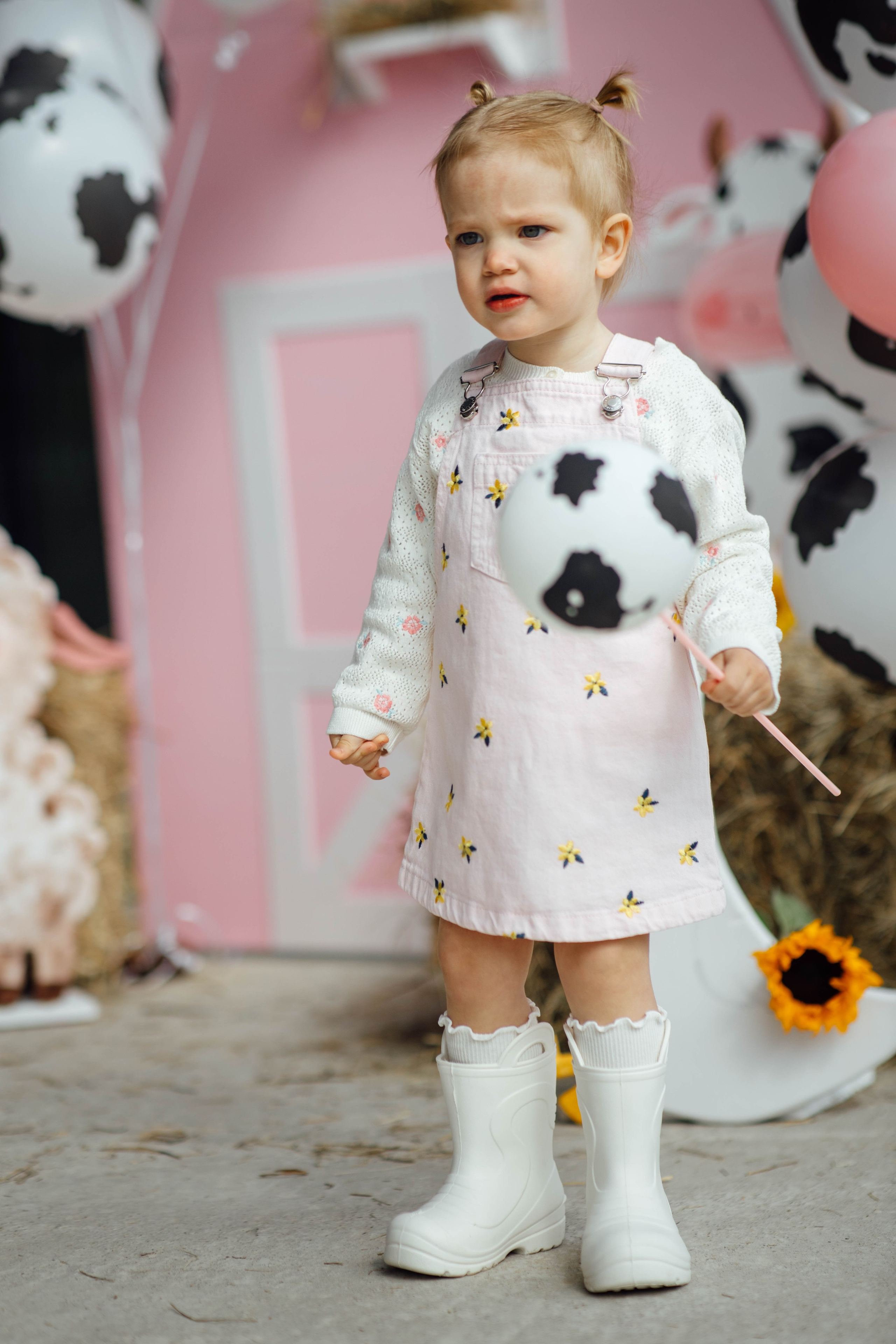 Репортаж дома, др