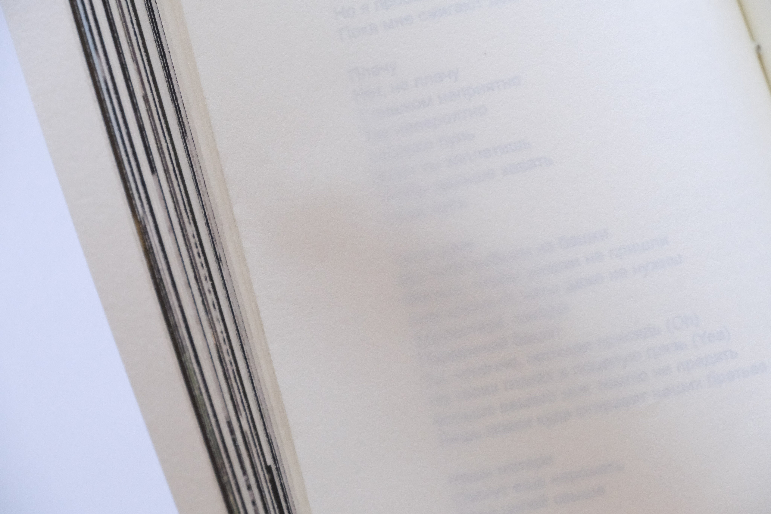 Липкий пол [книга]. Аня белка — художница и фотограф