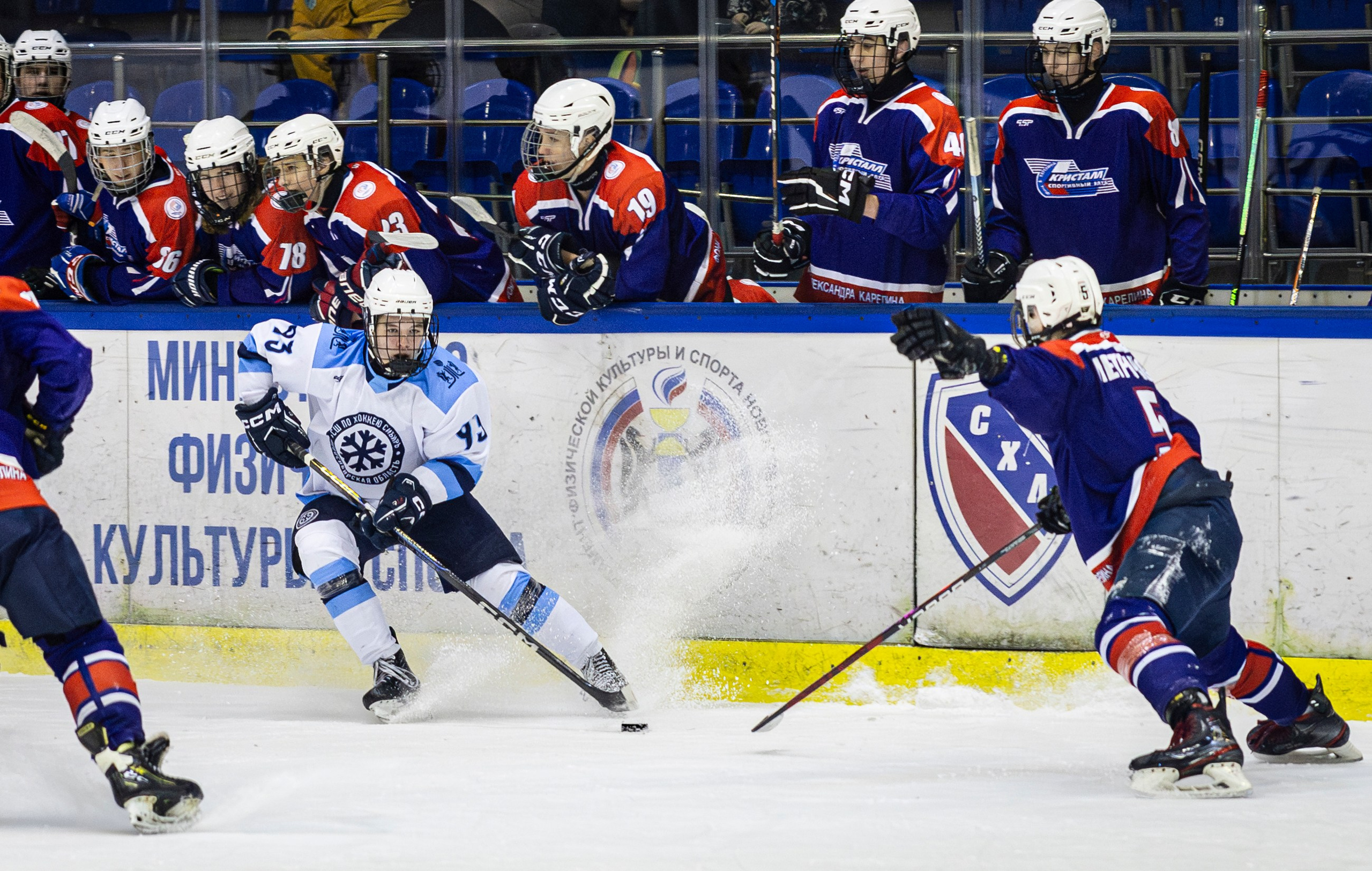 Сибирь (ЮХЛ). Bertran Ordo