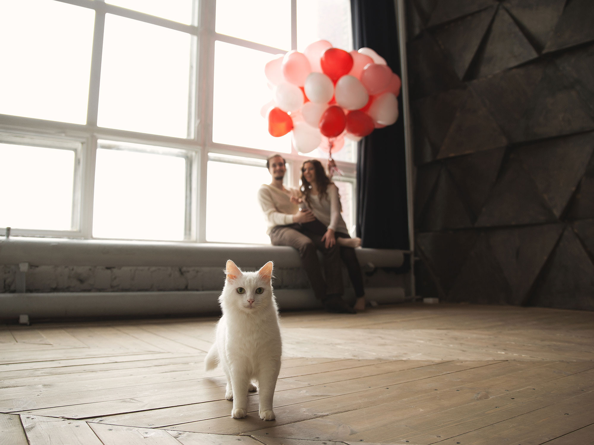 Love story. Профессиональный фотограф Александра Харламова
