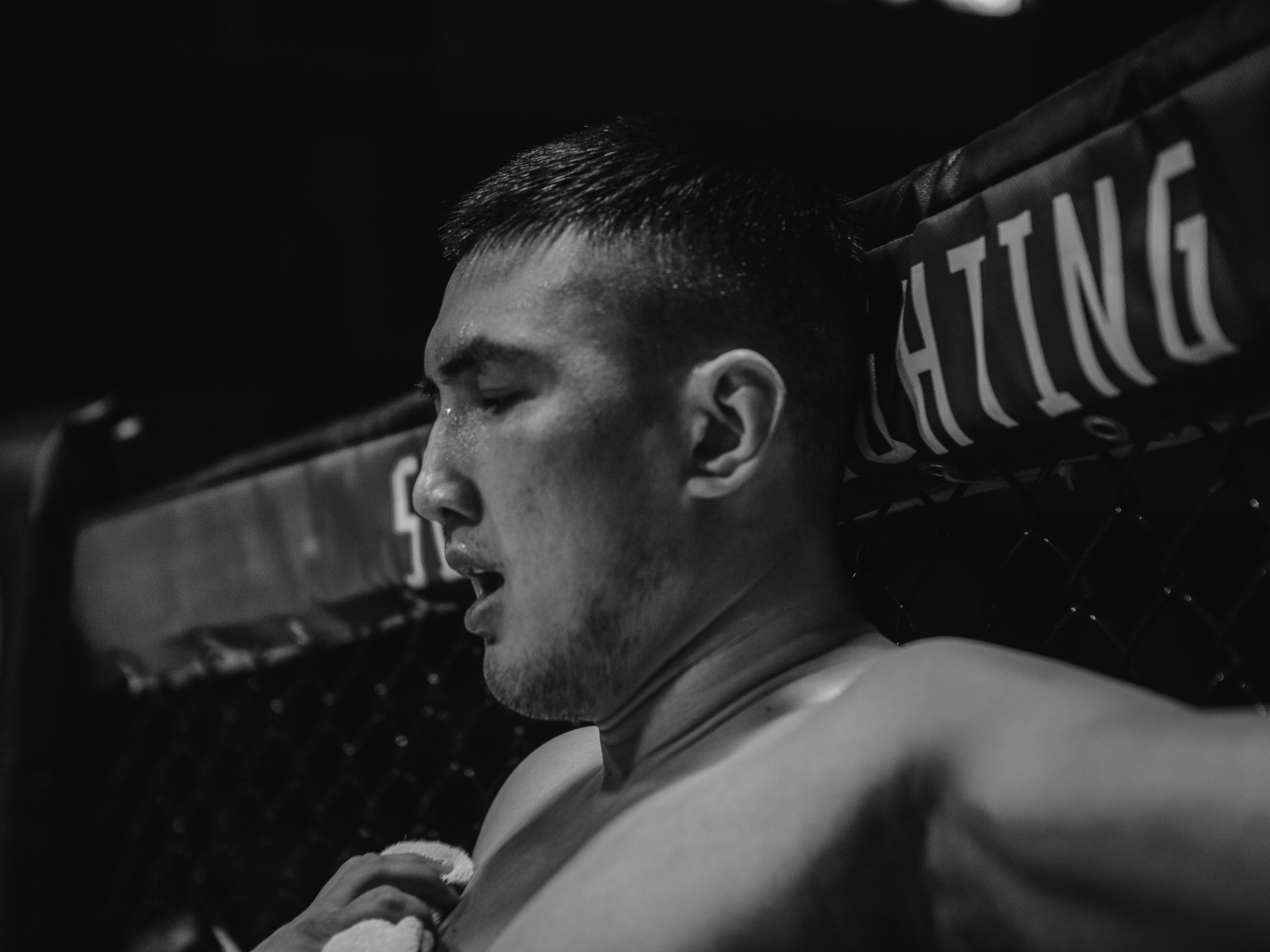 SFL 17 | Siberian Fighting League. Портретный фотограф в Москве Дарья Цезария