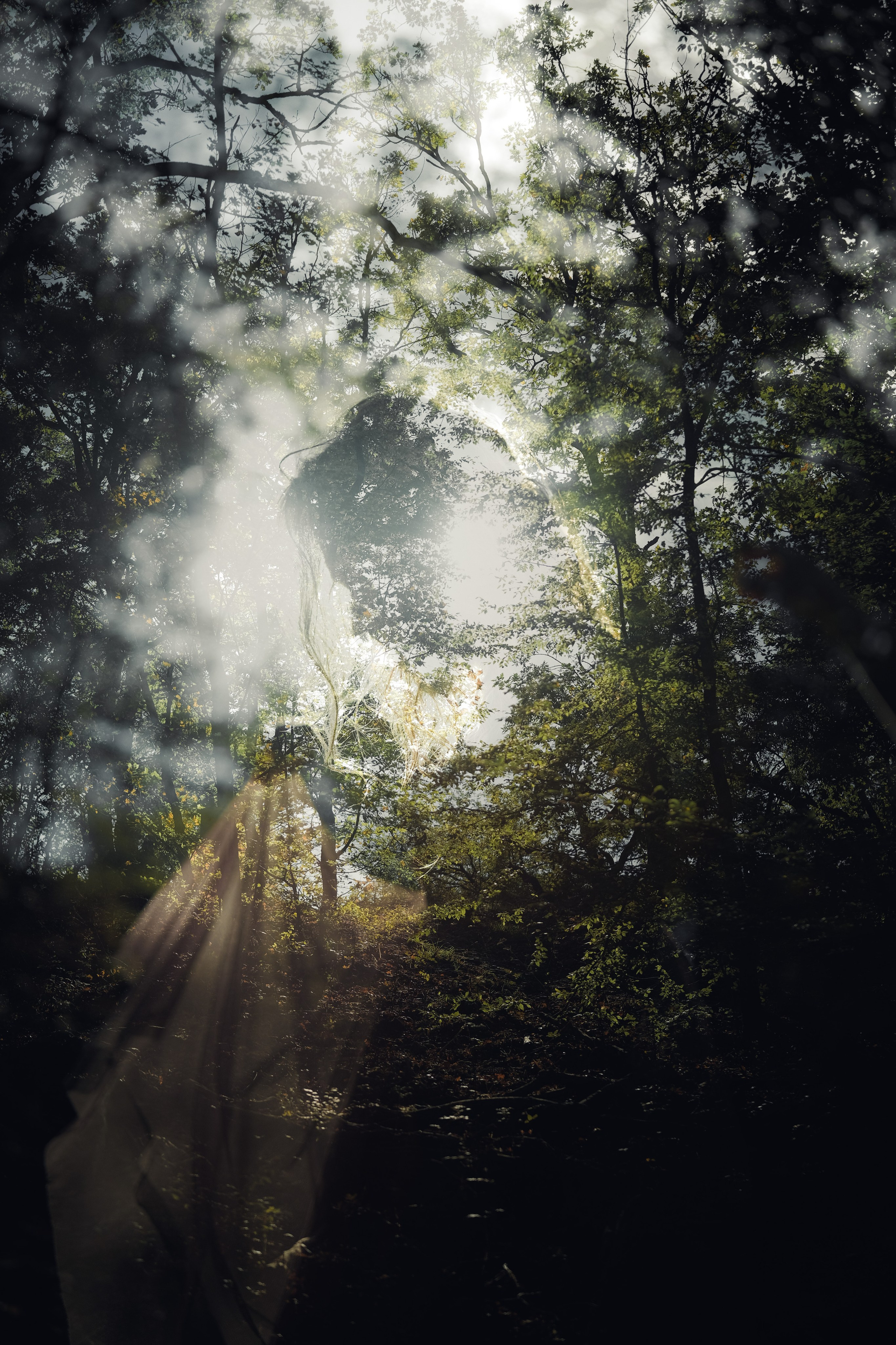 Анастасия. Съемка в лесу на горе Куш-кая в Крыму. Фотограф и видеограф в Севастополе. Владислав