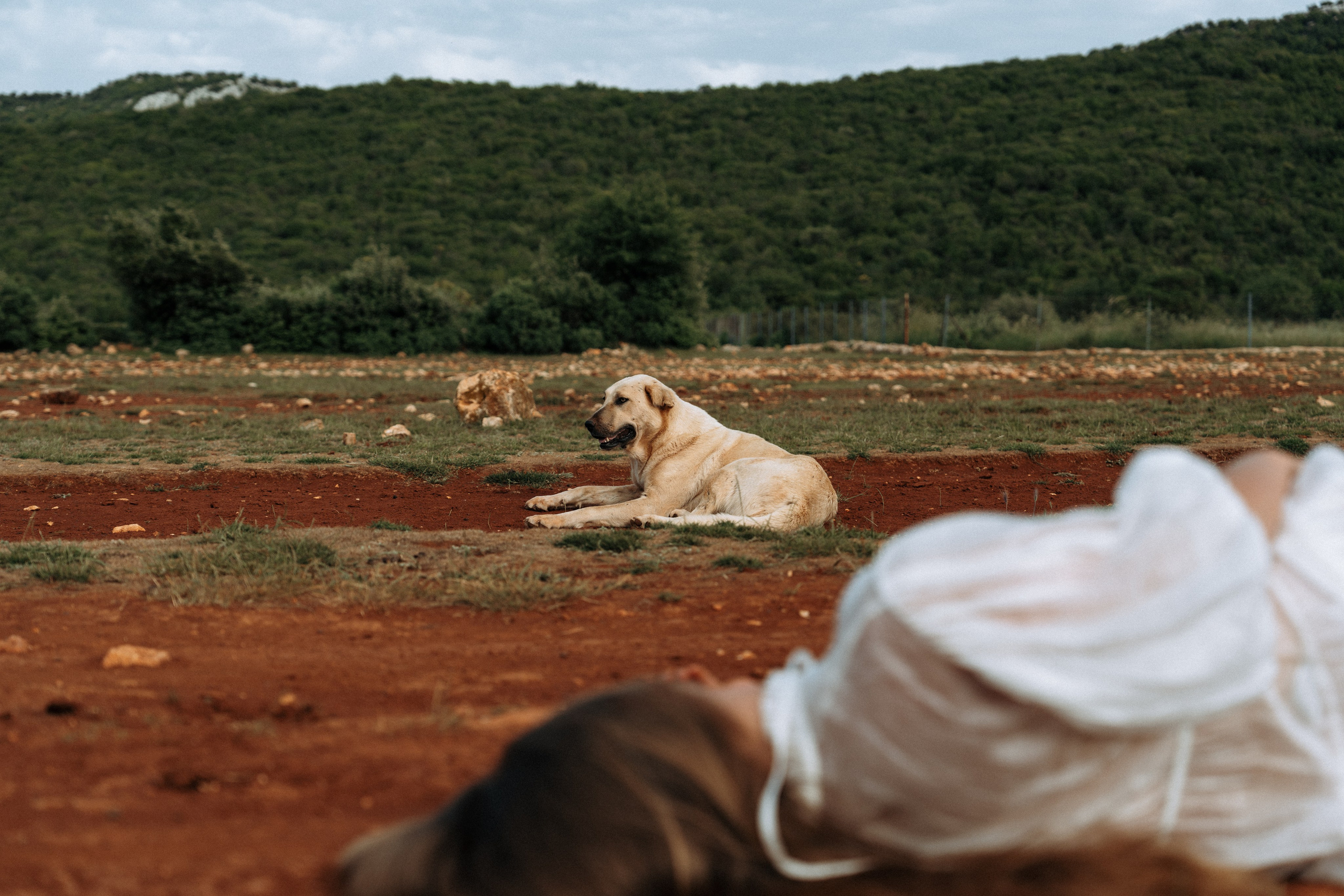 Если ты на Земле — звони
