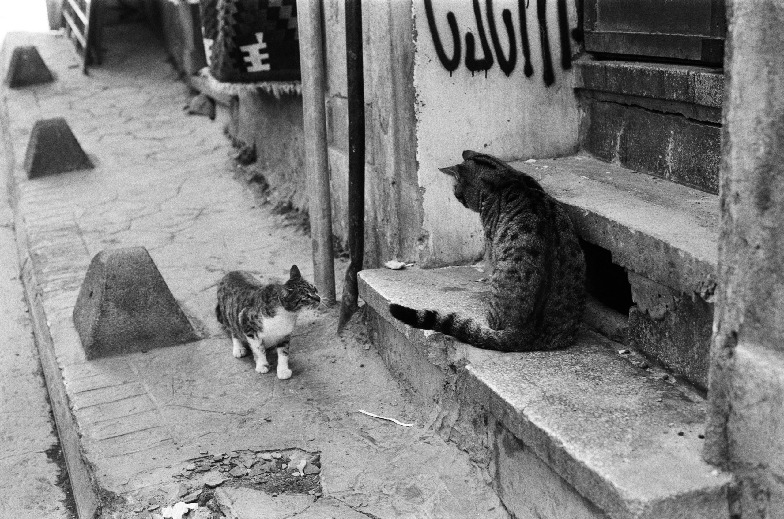 Complicated // turkey, istanbul IV. EVER EXPOSED