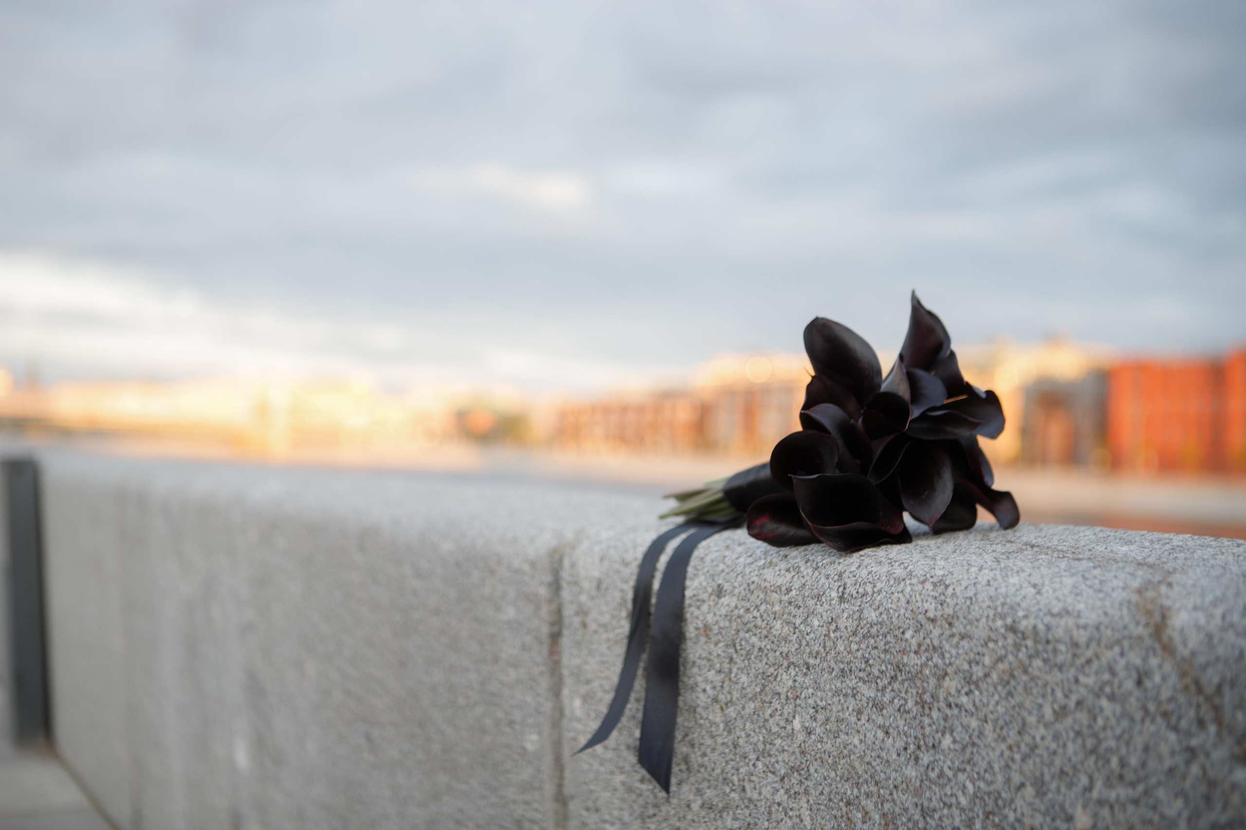 На рассвете. Свадебный фотограф Алена Полянская