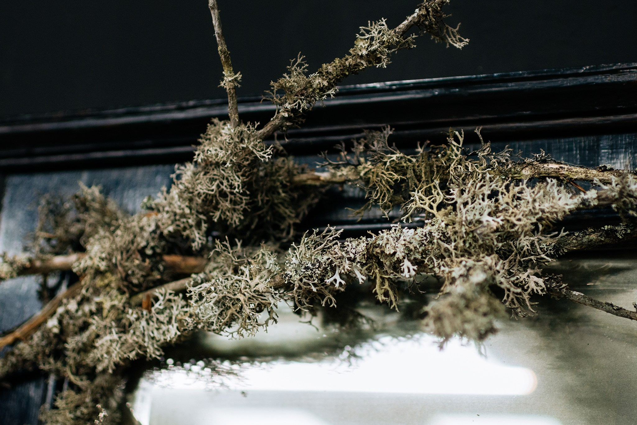 Black craft market. Открытие галереи. Июнь 24. Репортажный фотограф в Санкт-Петербурге Анастасия Клёпова