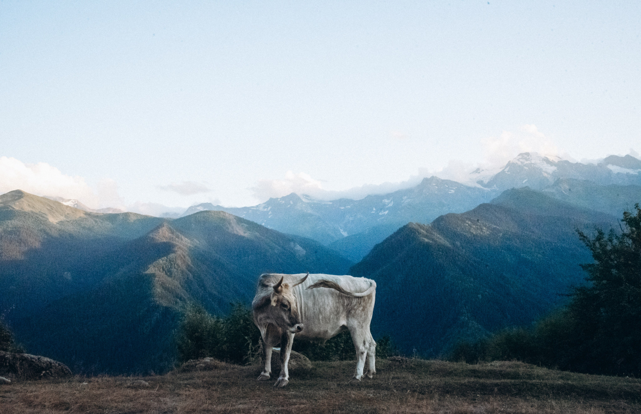 Сванетия, Грузия 🇬🇪. Anita_photo