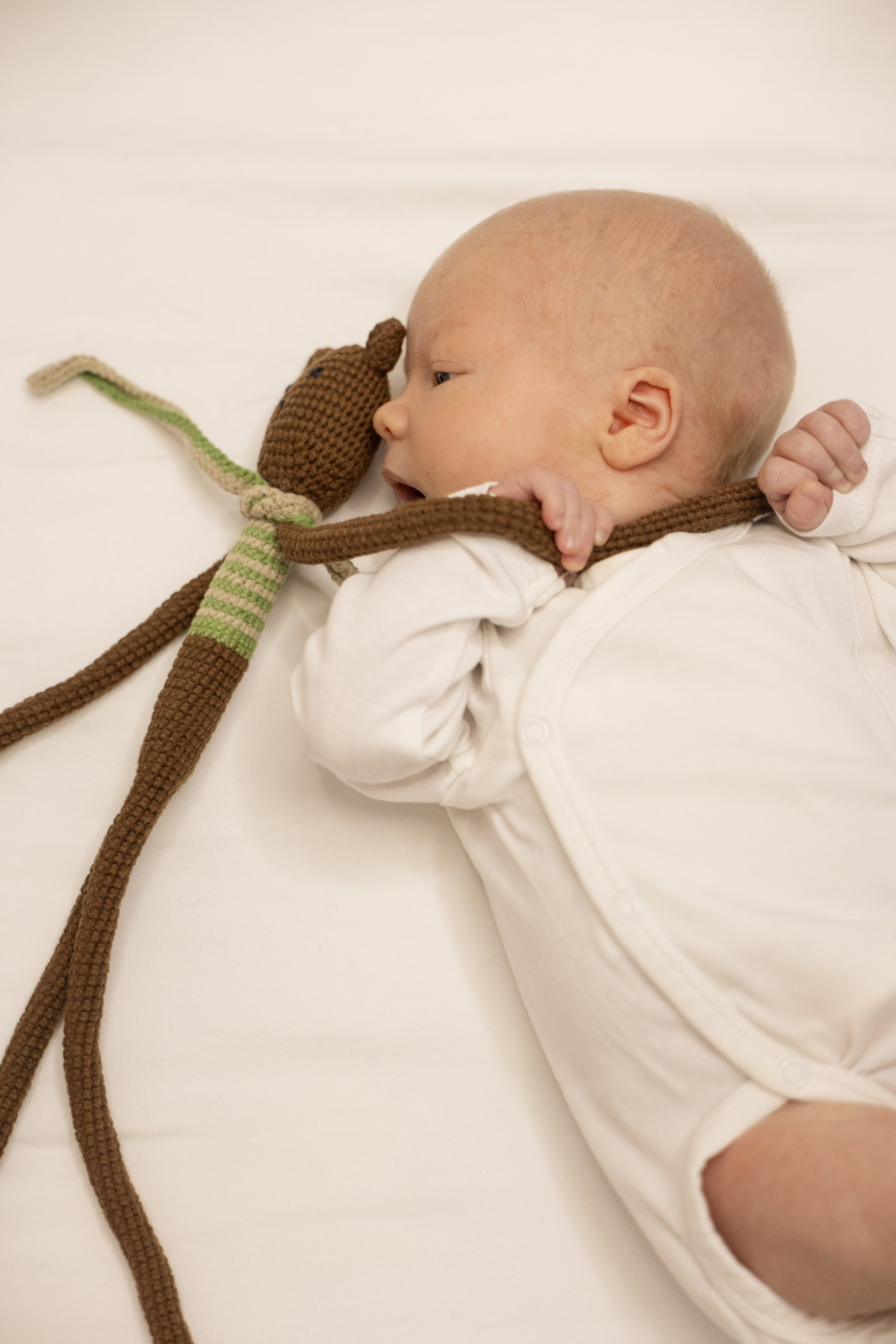 Новорожденный Мирослав. Фотограф Артем Бросов в Санкт-Петербурге и Дубае